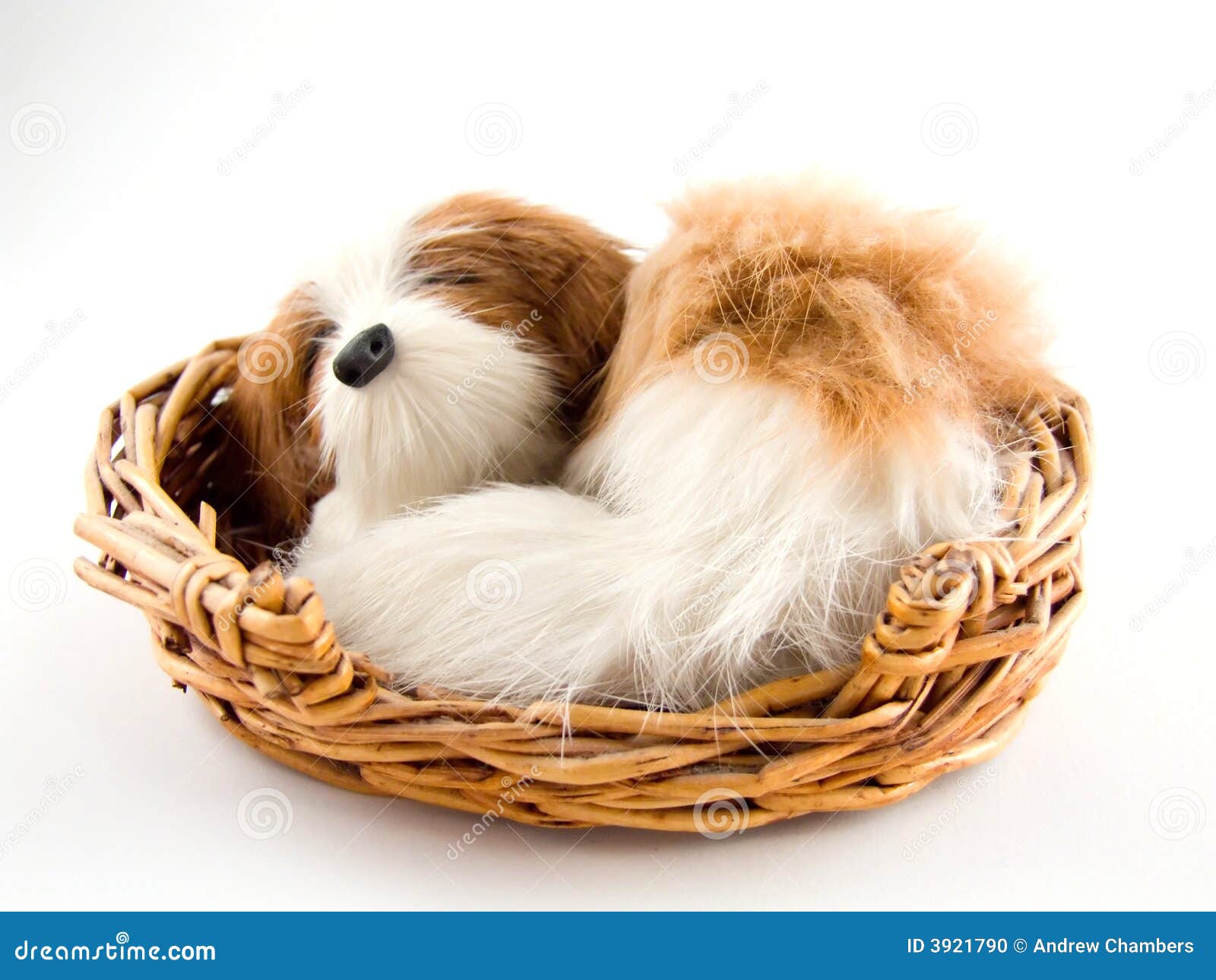 Toy dog sleeping in basket stock photo 