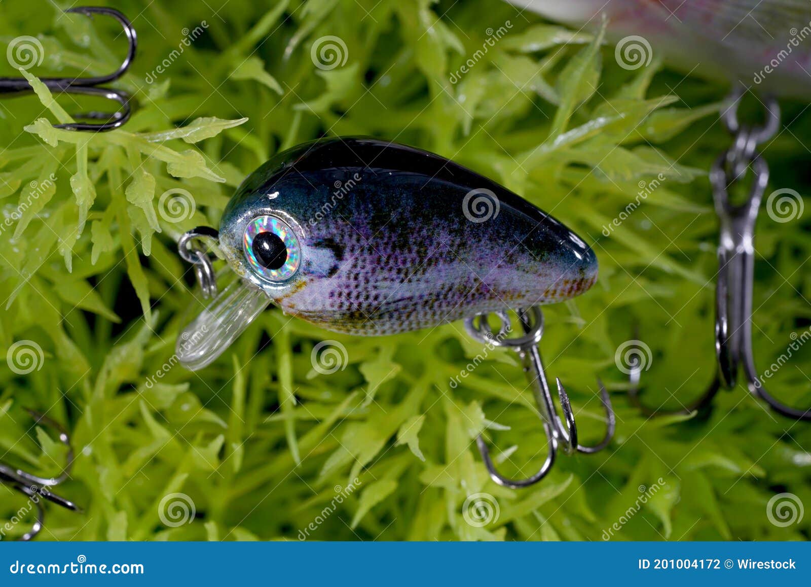 Toy Fish and a Hook in the Aquarium Stock Photo Image of life, animal
