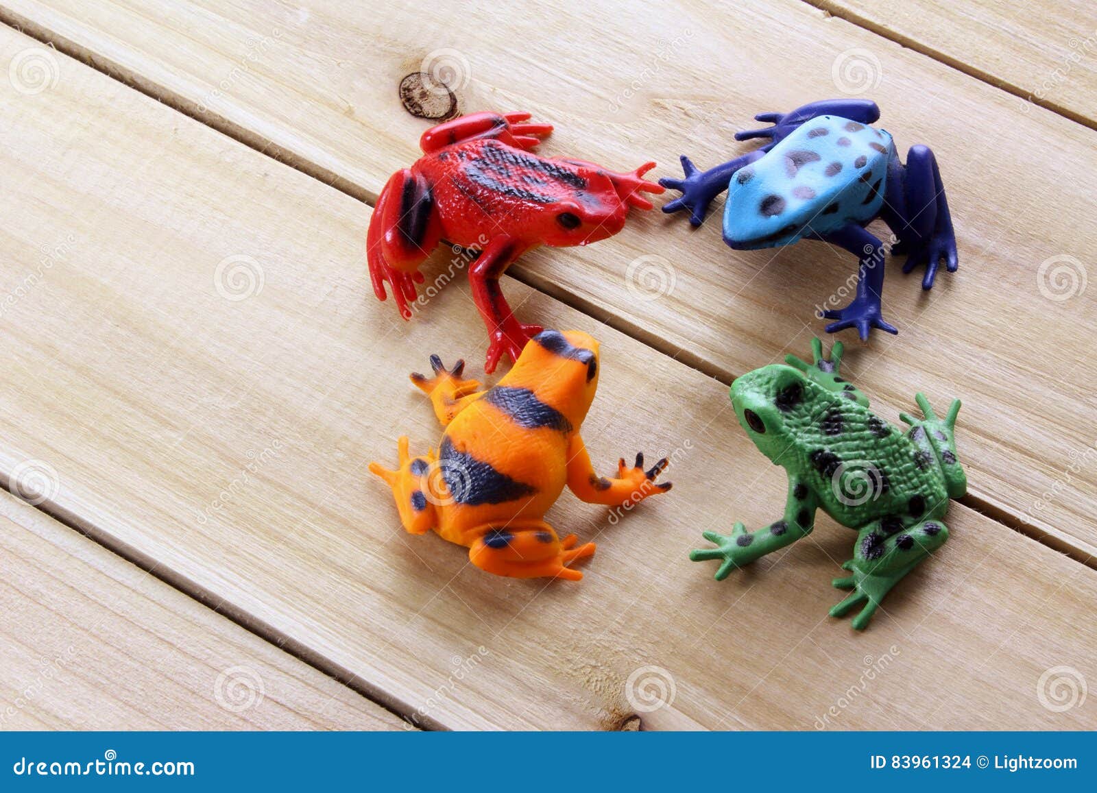 Toy Frogs stock photo. Image of meeting, confrontation - 83961324