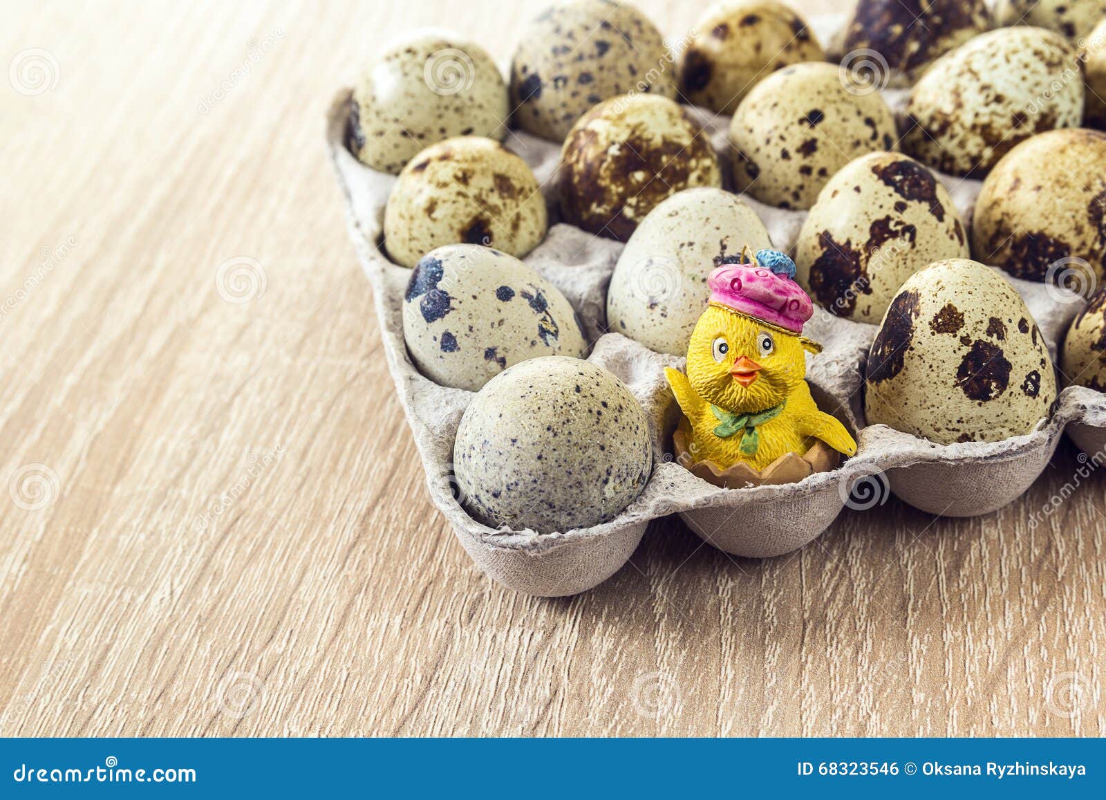 hatching chick egg toy