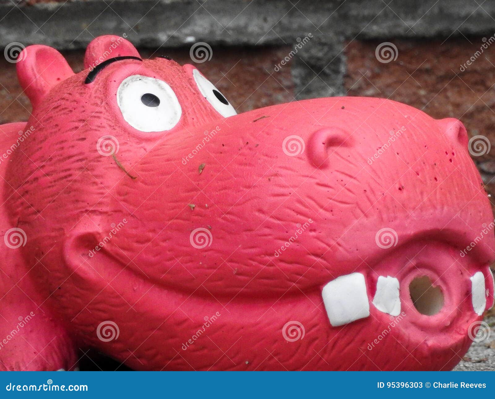 toy hippo stock image