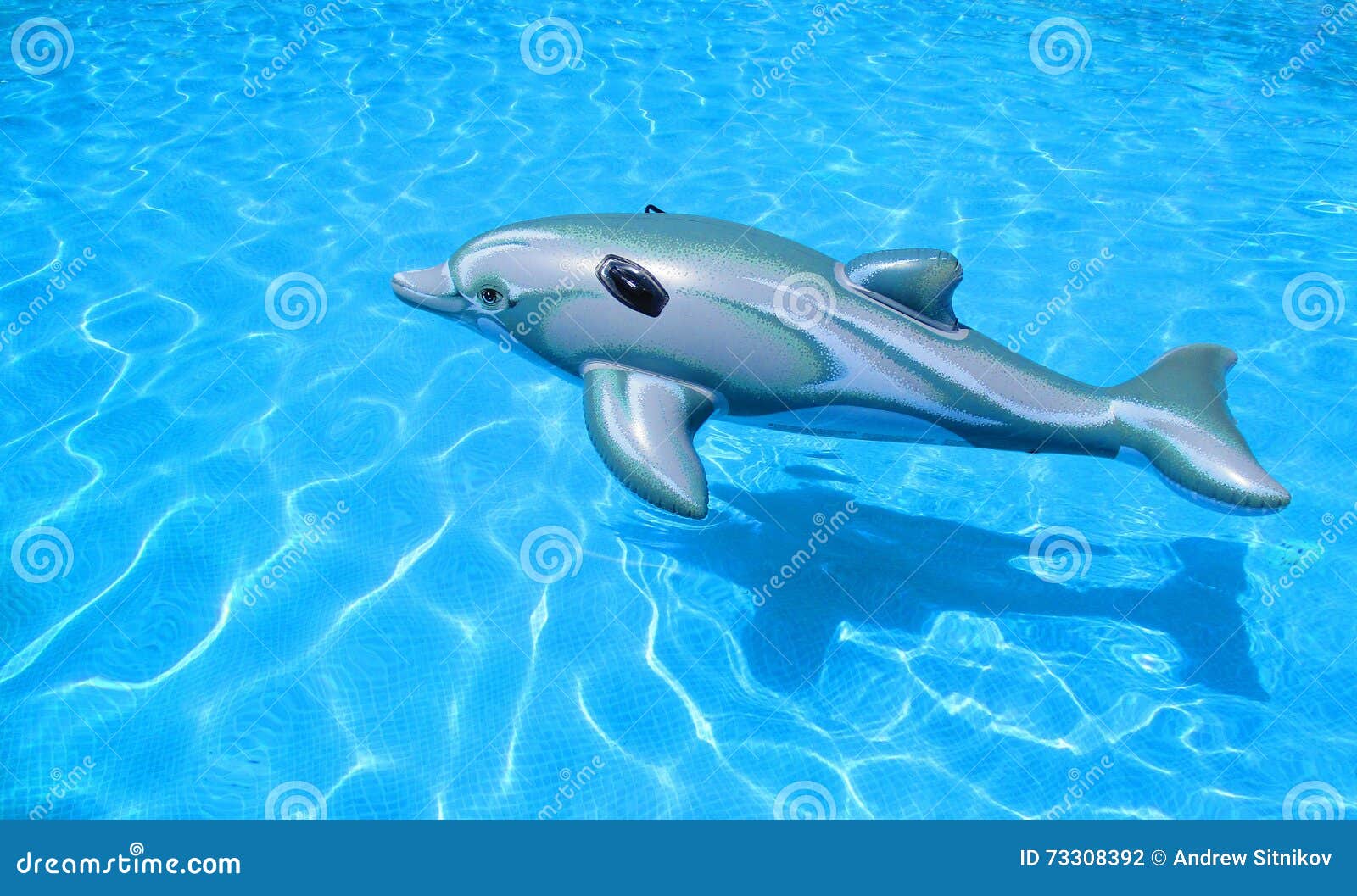 Toy rubber dolphin stock photo. Image of toys, abstract 73308392