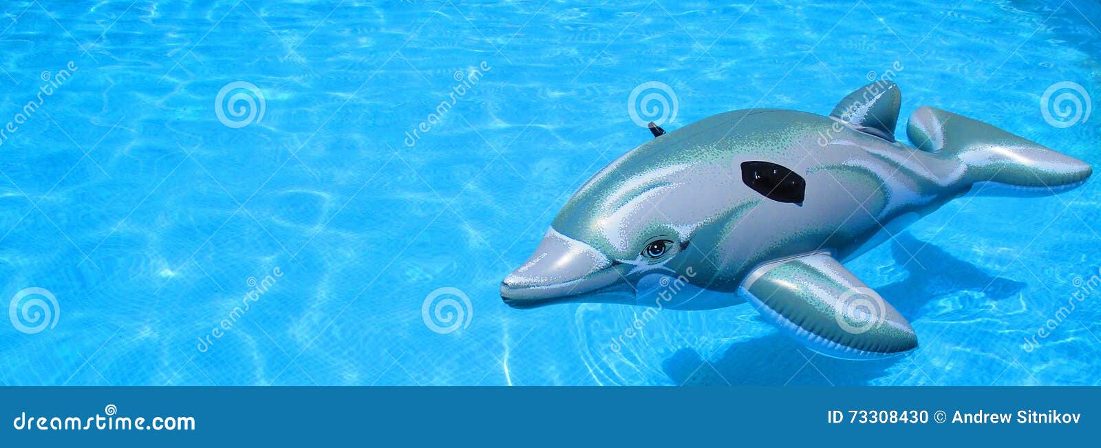 Toy rubber dolphin stock photo. Image of pool, summer 73308430