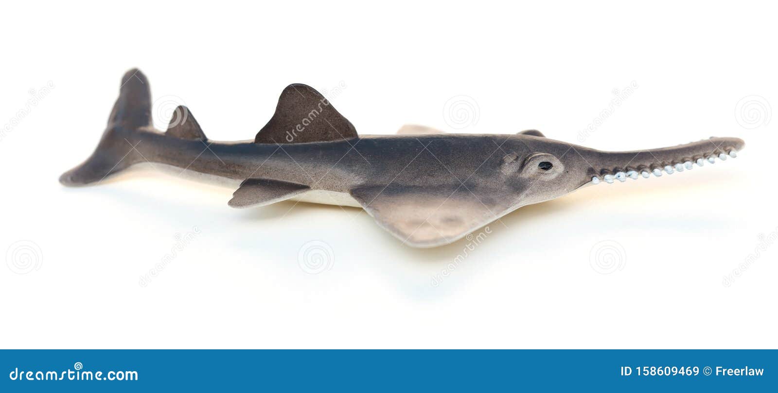 saw shark toy