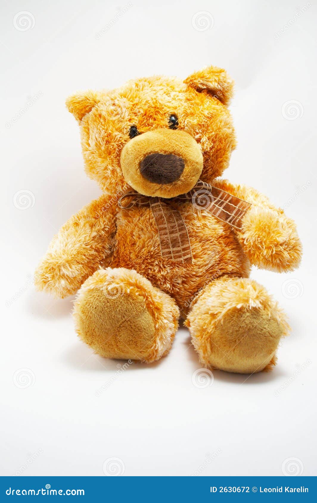 A toy a soft bear stock photo. Image of childes, baby 2630672