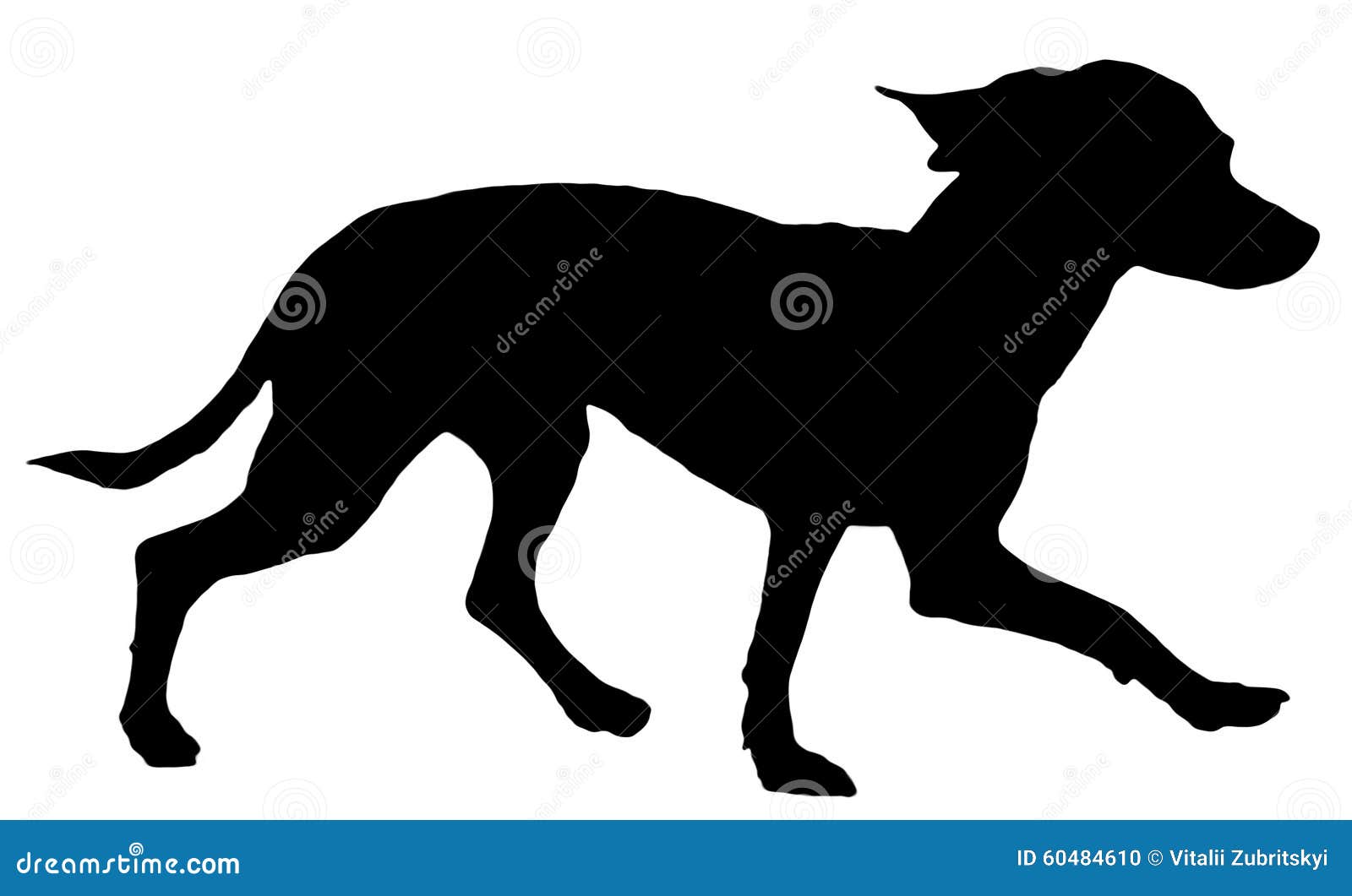 Toy Terrier silhouette stock illustration. Illustration of doggy ...