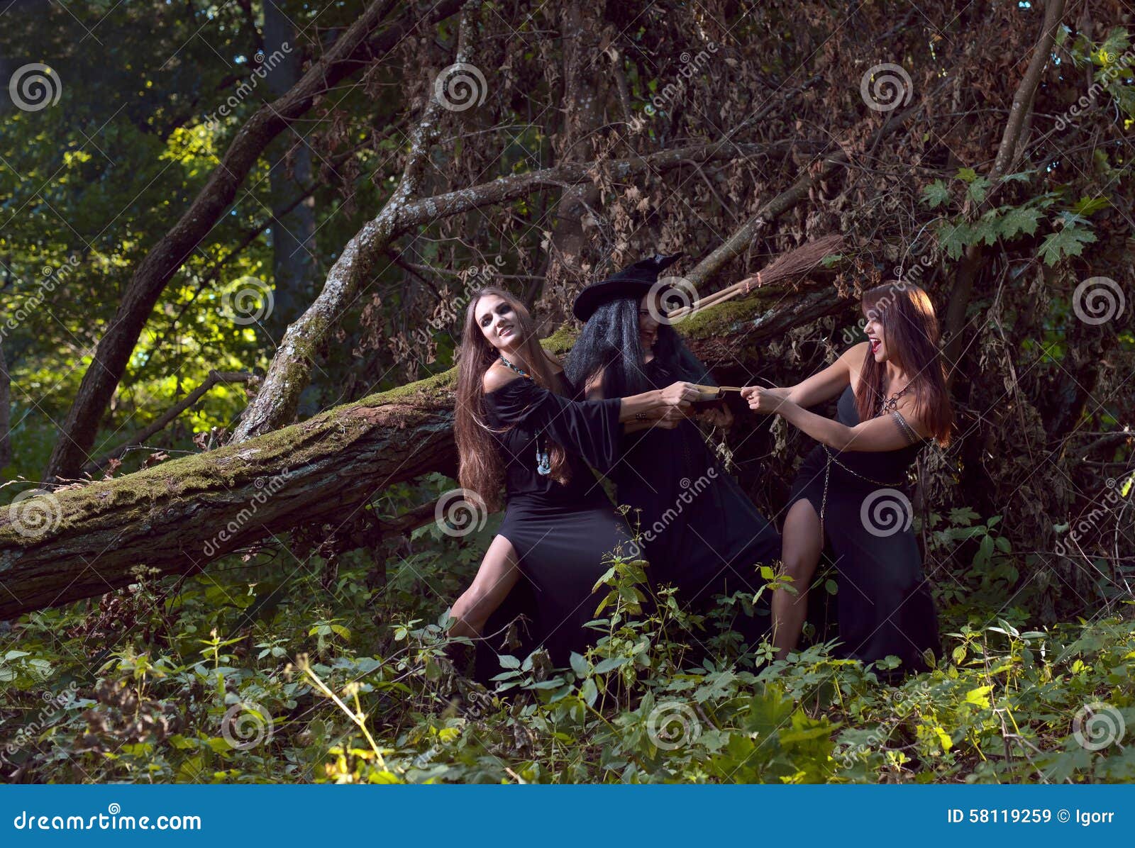 Três Bruxas Jovens Bonitas Na Floresta Escura Foto Royalty Free
