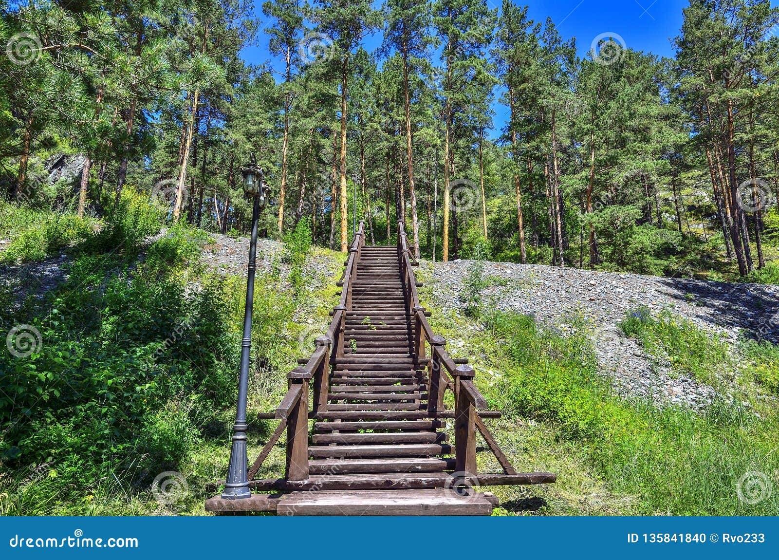 Trainee De Marche De Sante Avec Les Escaliers En Bois Menant A La Colline Photo Stock Image Du Russia Sain