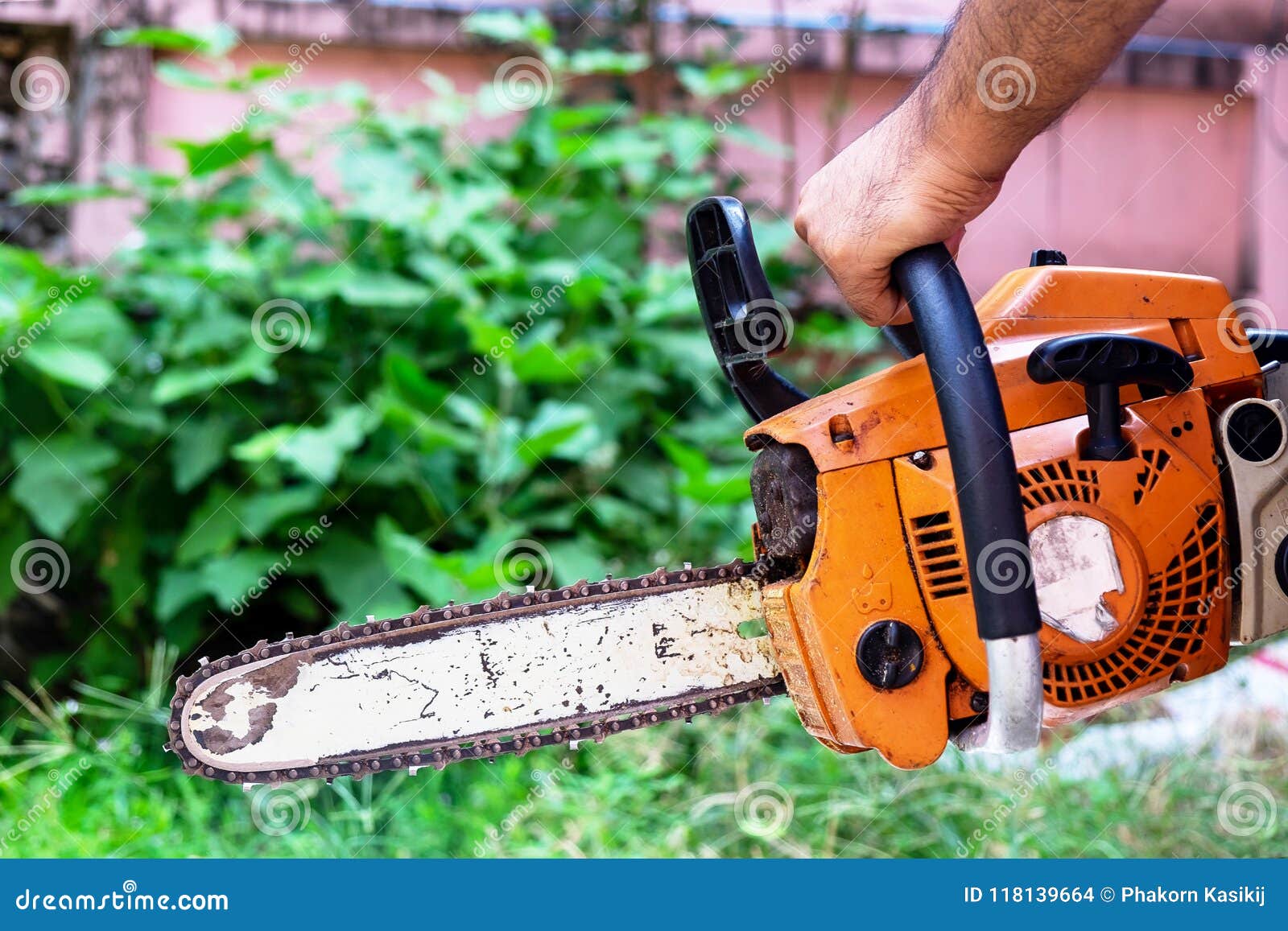 Trabajador De Sexo Masculino Que Sostiene La Pequeña Motosierra a Cortar  Las Pequeñas Plantas Foto de archivo - Imagen de silvicultor, adulto:  118139664