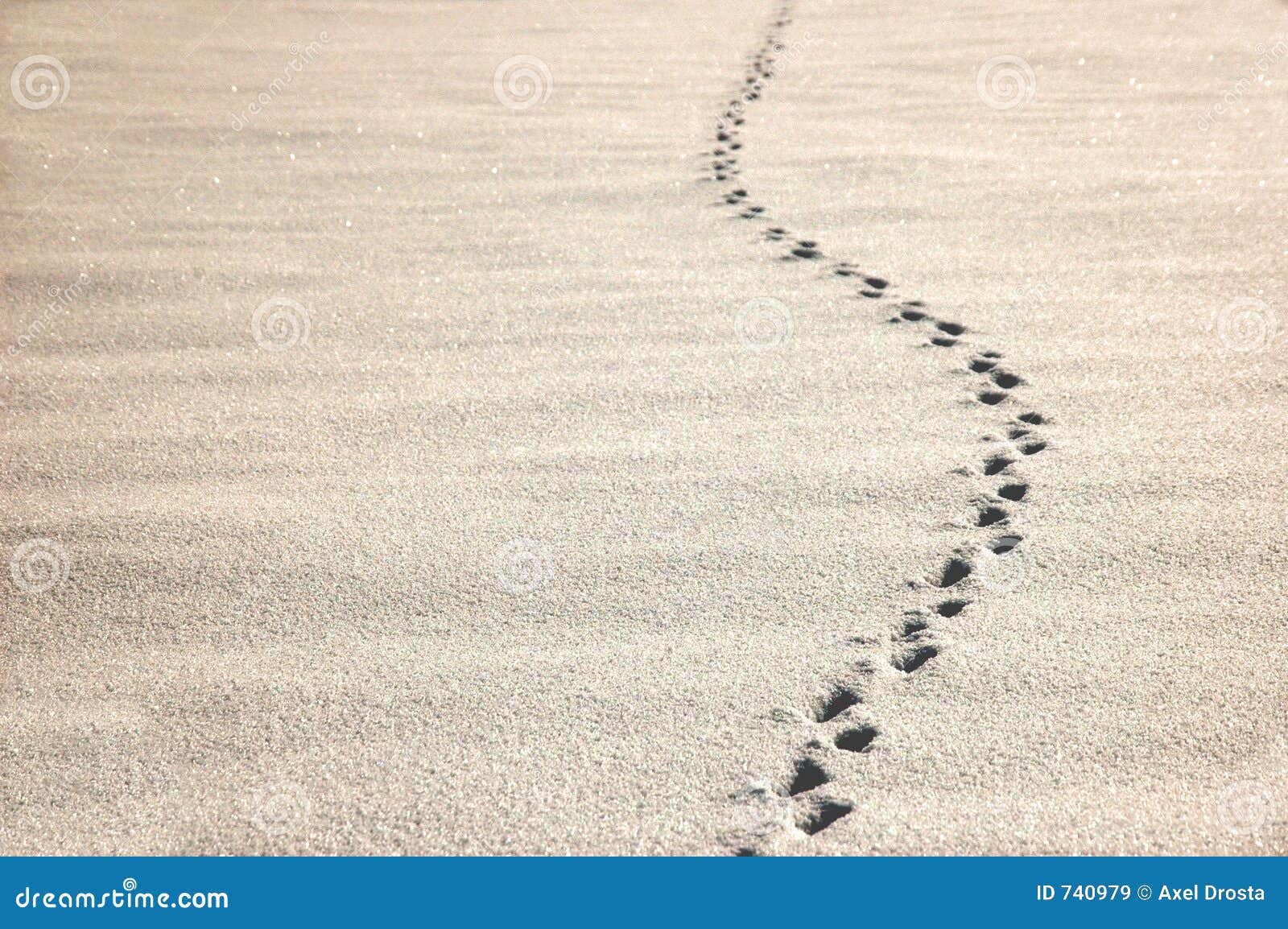 Trace Royalty Free Stock Photography CartoonDealer com #32488049 Trace Royalty Free Stock Photography CartoonDealer com #32488049