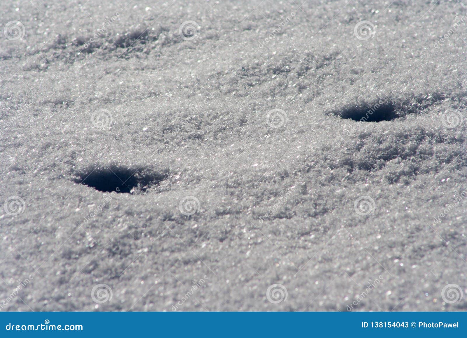 Traces Des Animaux Dans La Neige Cerfs Communs Orignaux Loup Renard Chien Empreintes De Pas De Pattes De Chat Dans La Foret Image Stock Image Du Fond Saison Traces Des Animaux Dans La Neige Cerfs Communs Orignaux Loup Renard Chien Empreintes De Pas De Pattes De Chat Dans La Foret Image Stock Image Du Fond Saison