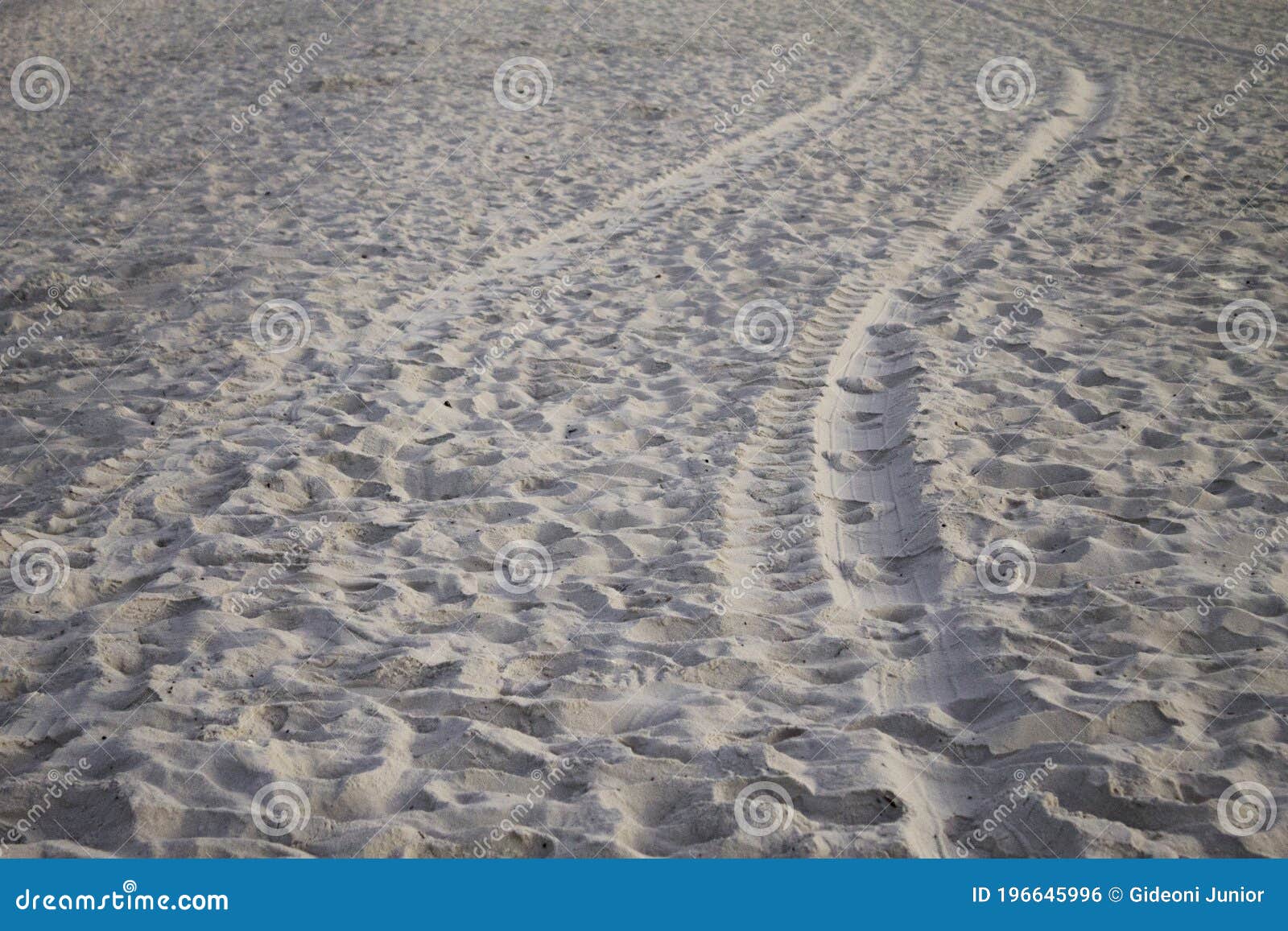 traces in the sand of rio de janeiro