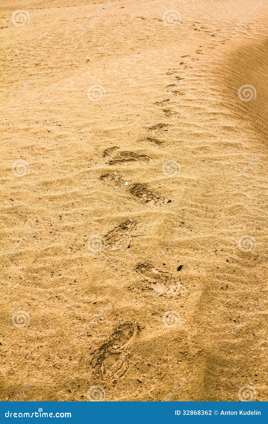 Traces of the Shoe on a Sand Dune in the Desert Stock Photo Image of