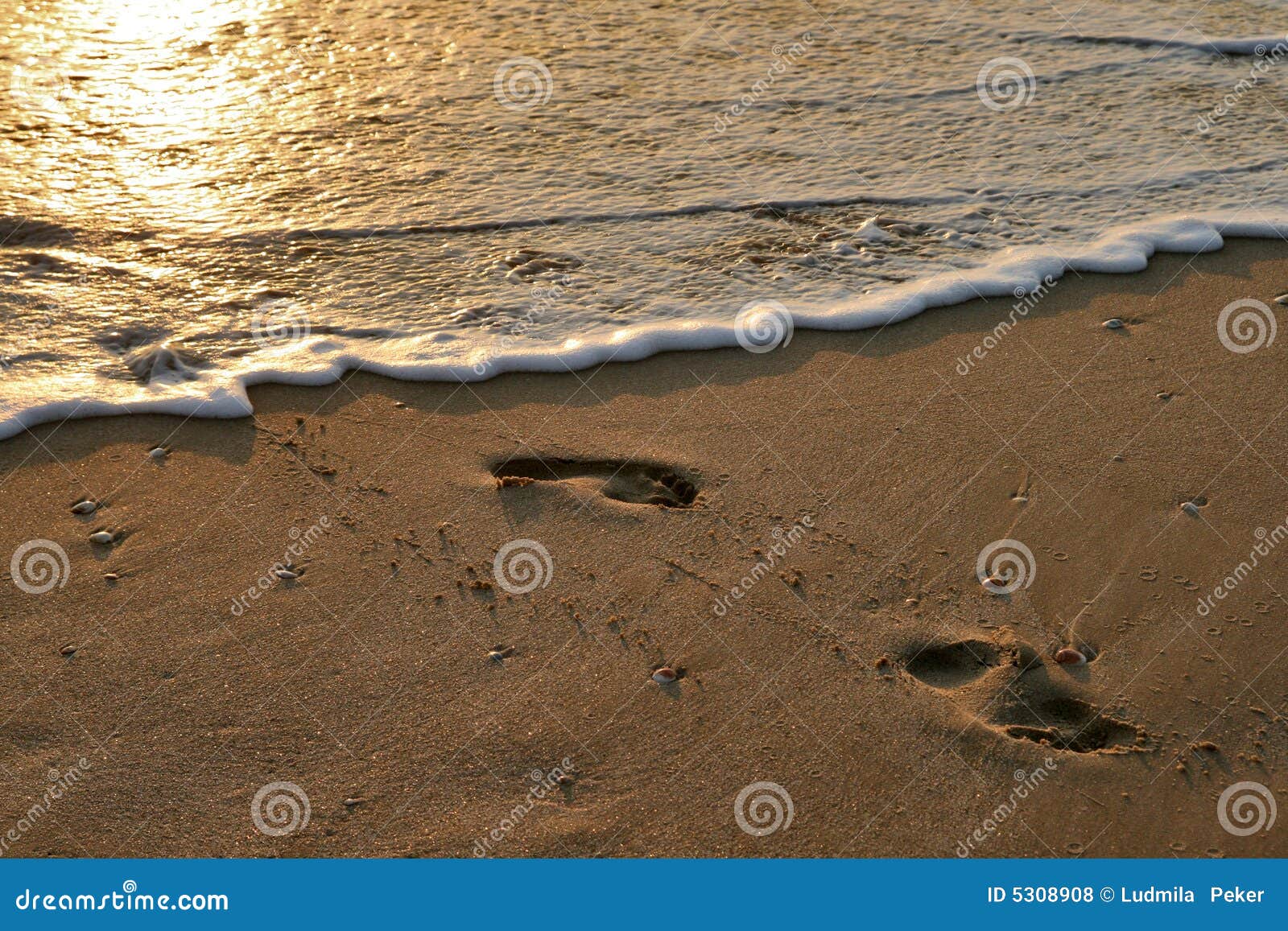Traces sur le sable photo stock. Image du apport, course 5308908