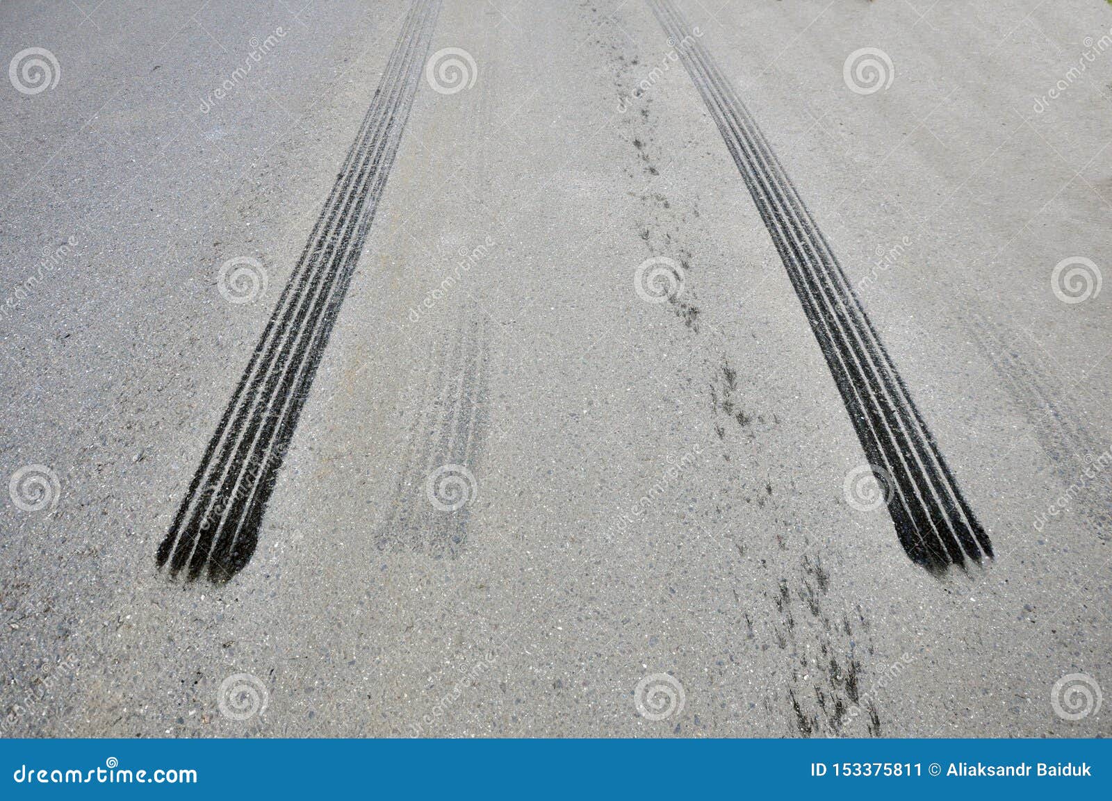 Traces from the Tire from Emergency Braking on Asphalt Stock Image Image of empty, brake