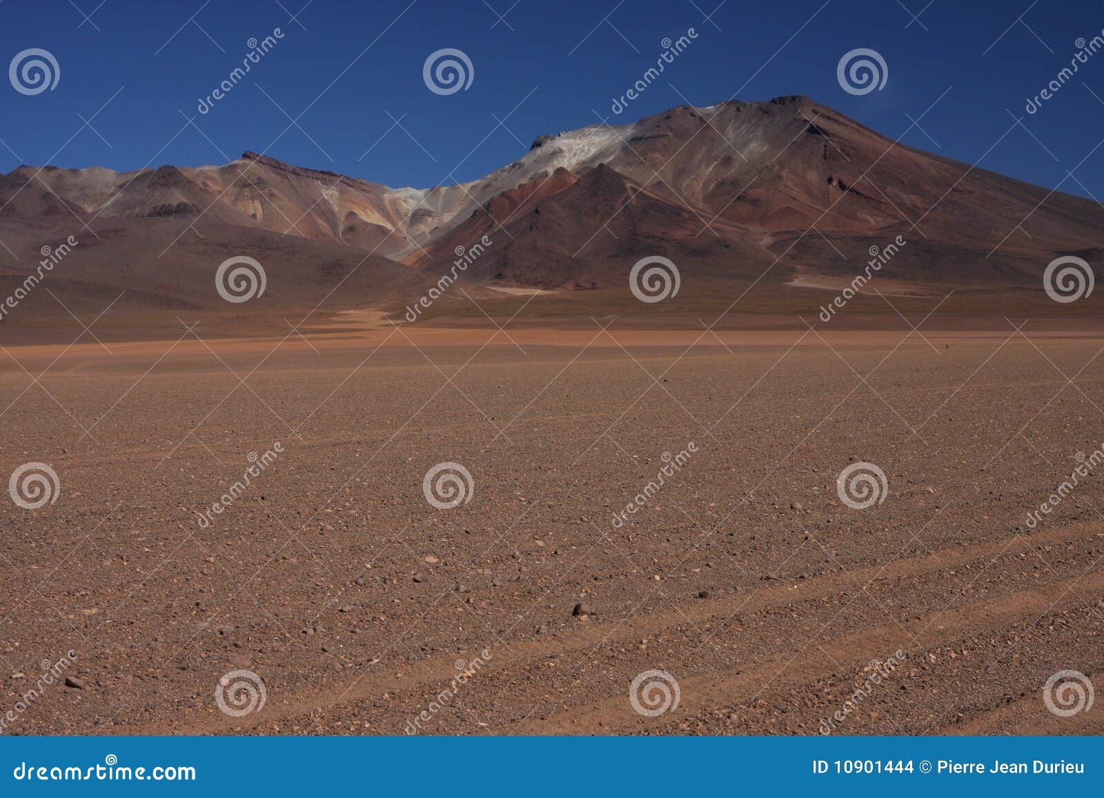 track in the desert of siloli