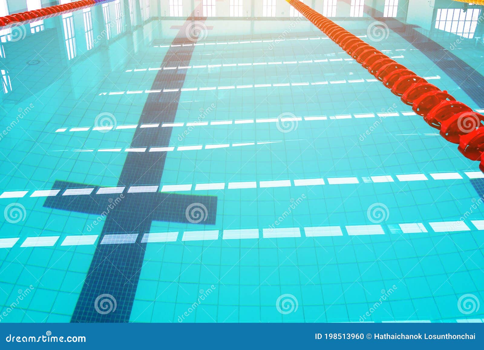Track And Lanes Of A Competition Swimming Poolindoor Swimming Pool With