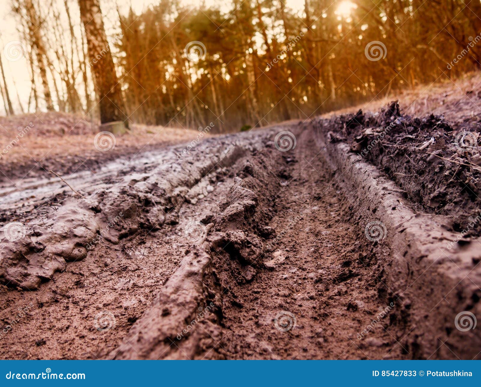 The Track in the Mud on the Village Dirt Road Stock Image Image of