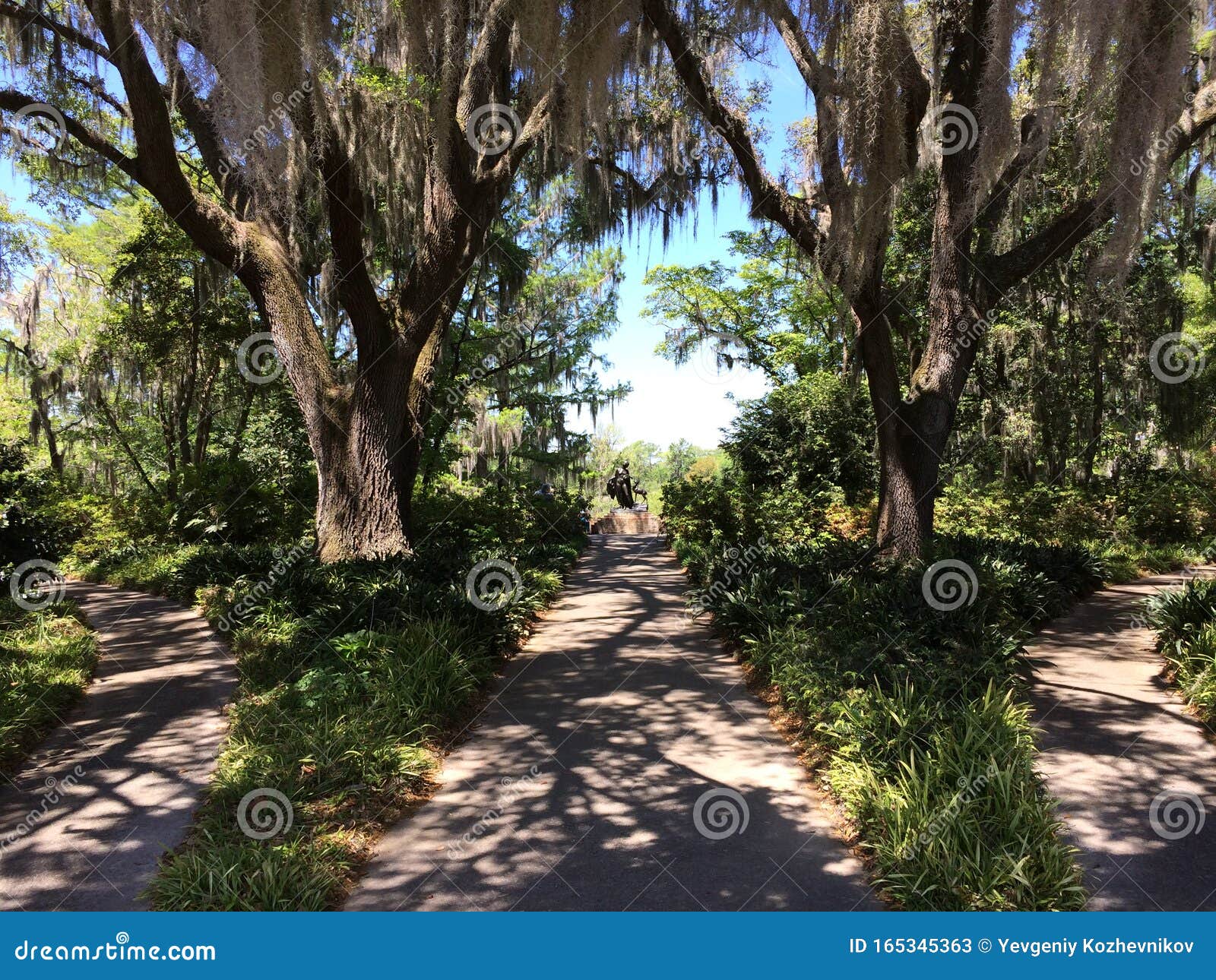 Brookgreen Gardens Track South Carolina Usa Stock Image Image