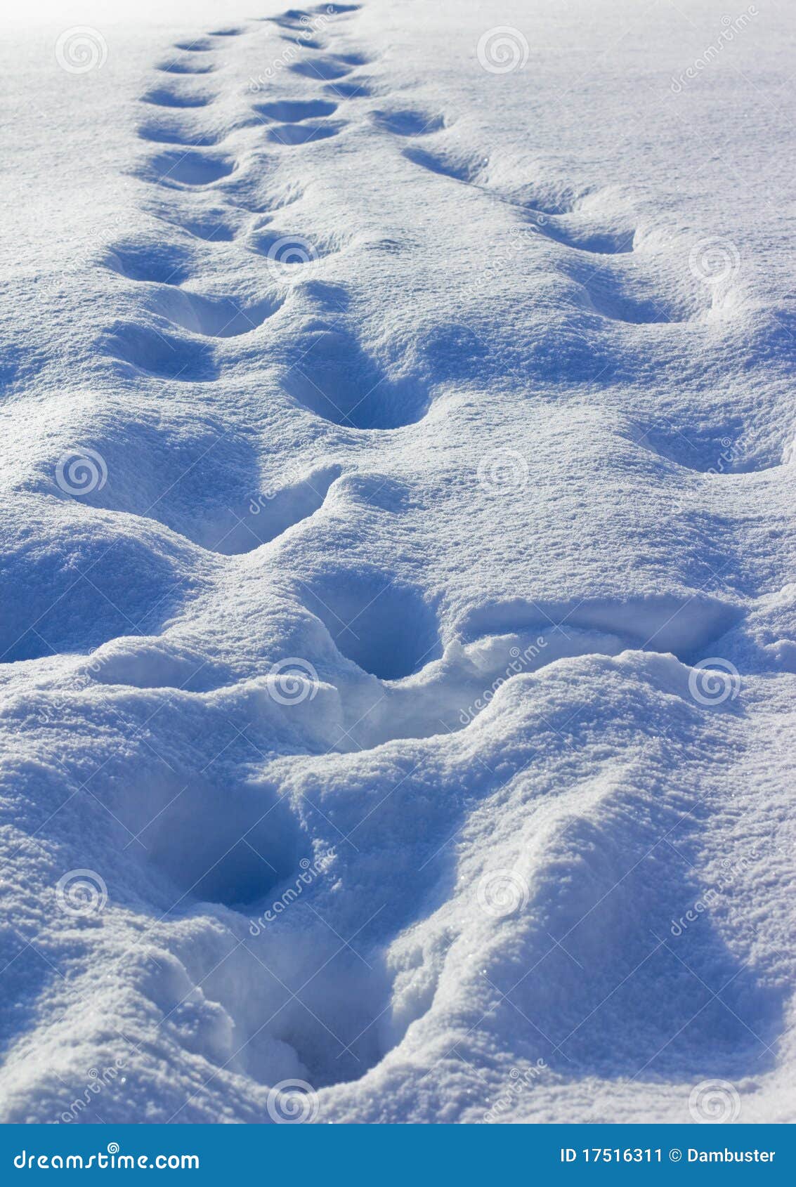 Tracks in the snow stock image. Image of change, weather 17516311