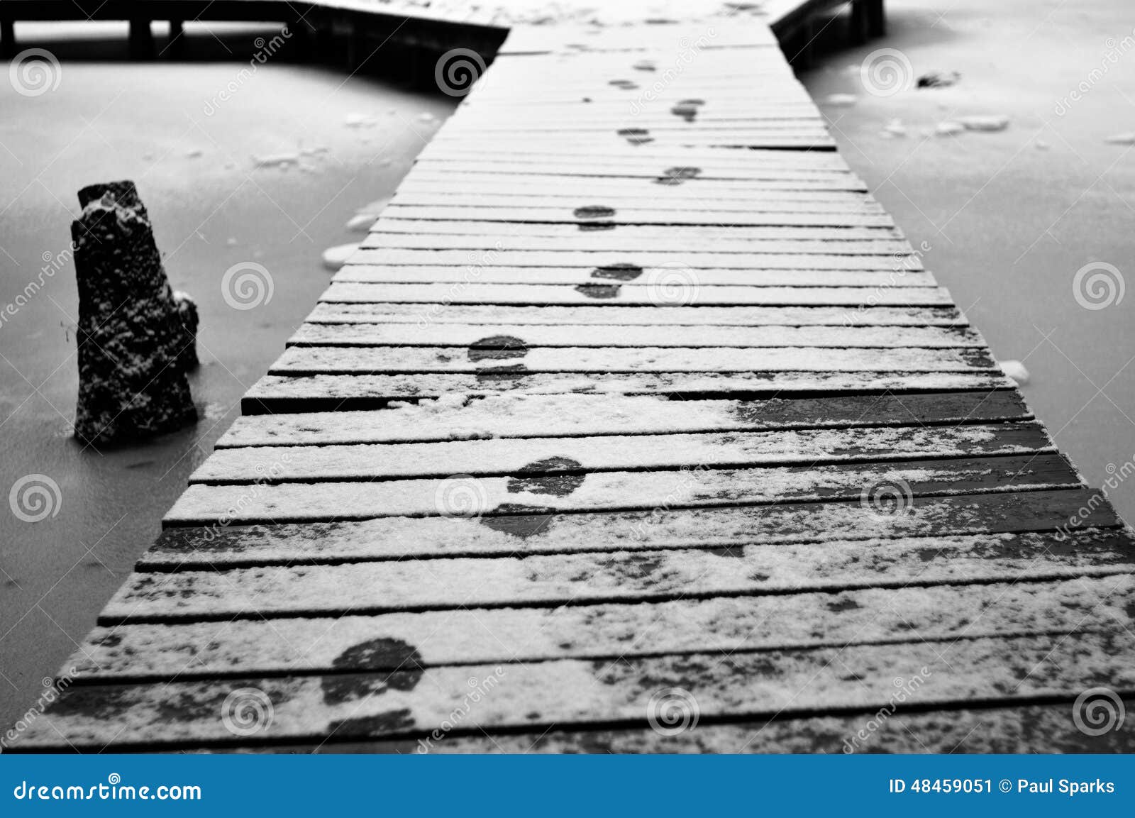 Tracks in the snow. stock image. Image of pond, environment 48459051