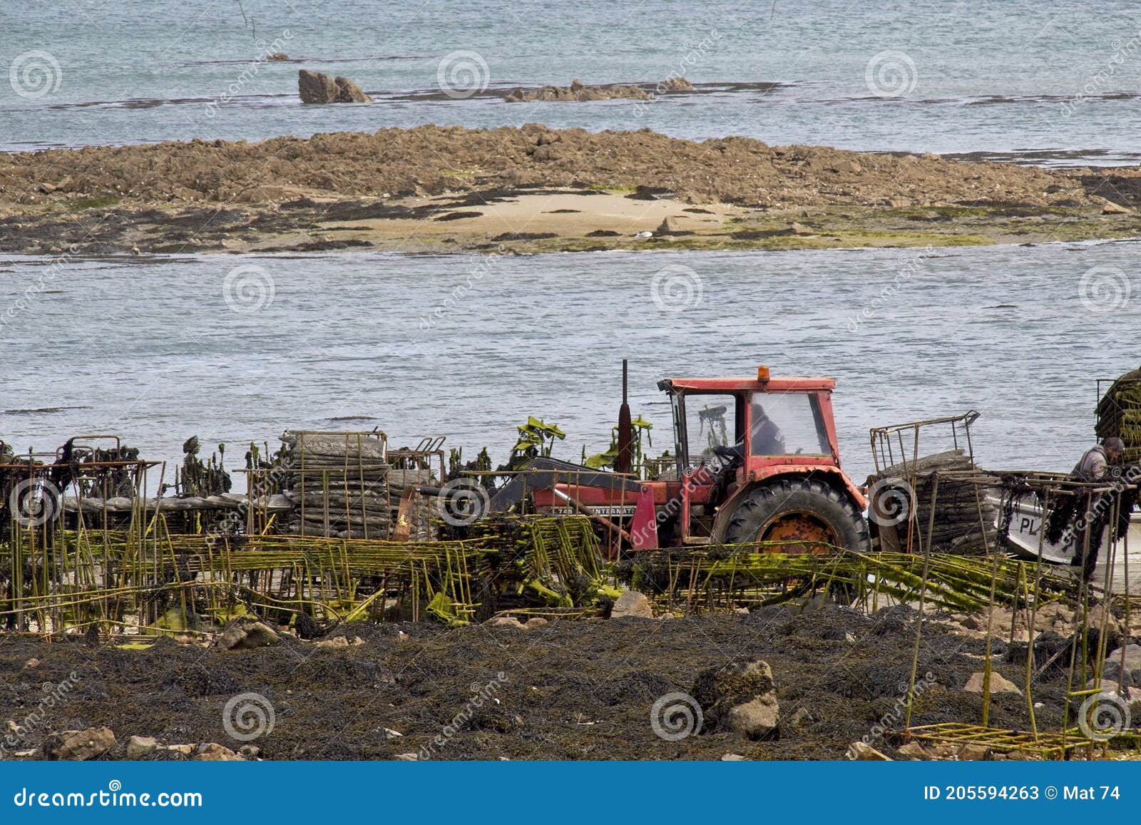 Tractor On The Beach Flattens RoyaltyFree Stock Photo CartoonDealer