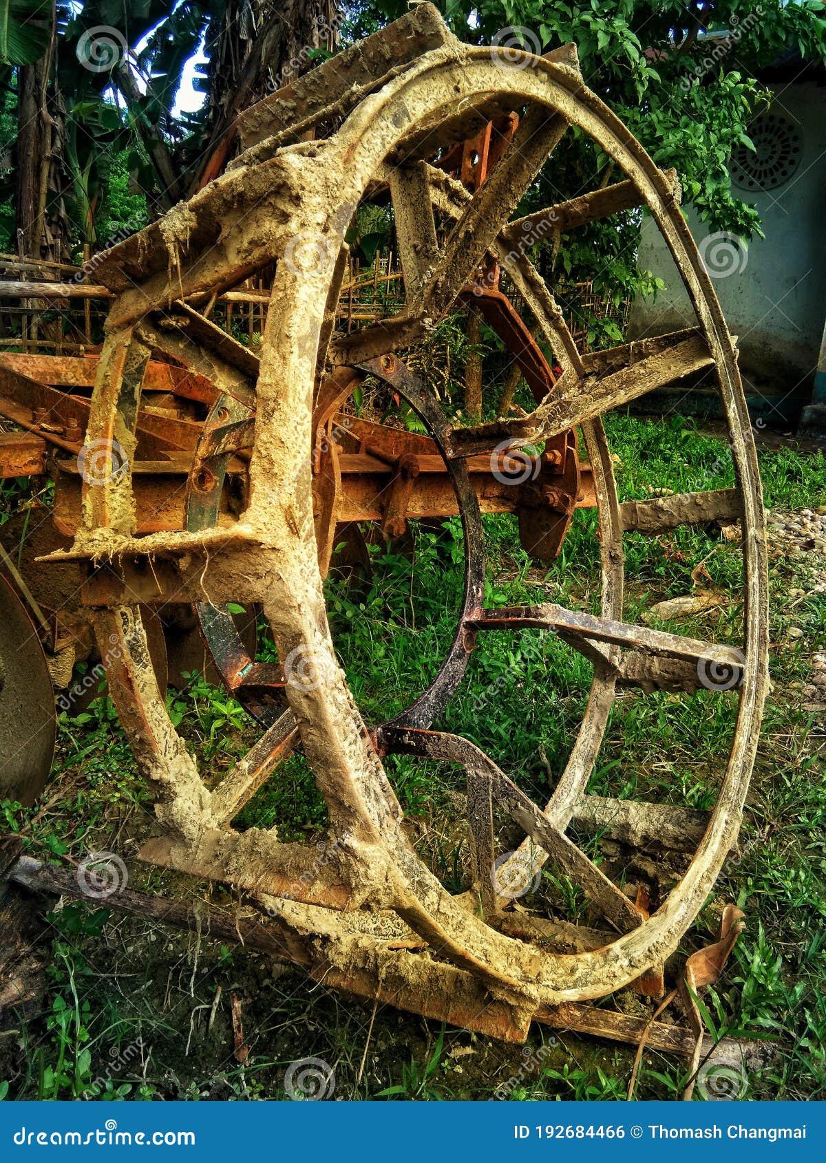 Tractor cage wheel. stock photo. Image of gear, construction 192684466