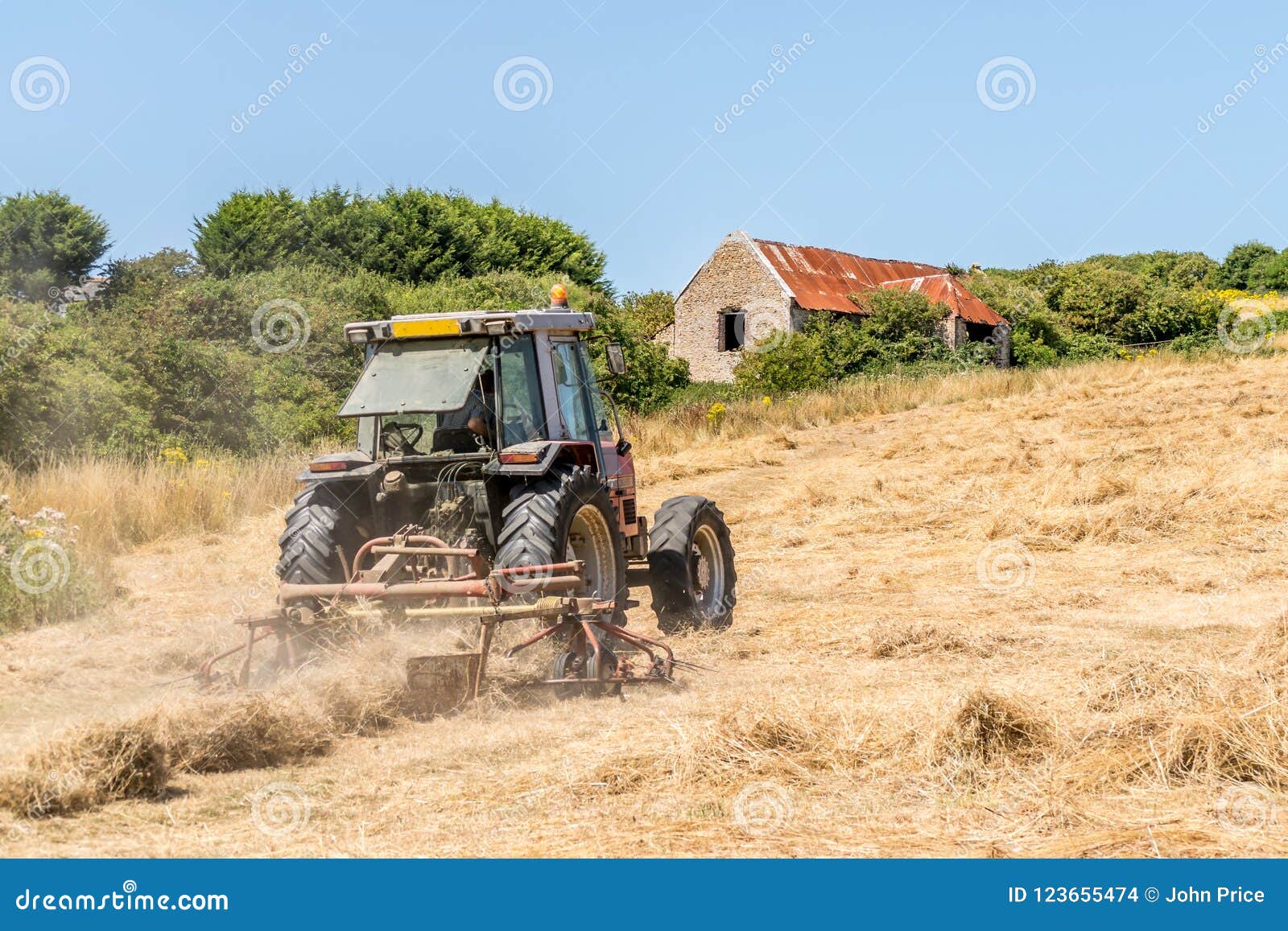 Tractor Cutting Dry Grass in a Field Stock Photo Image of lawnmower