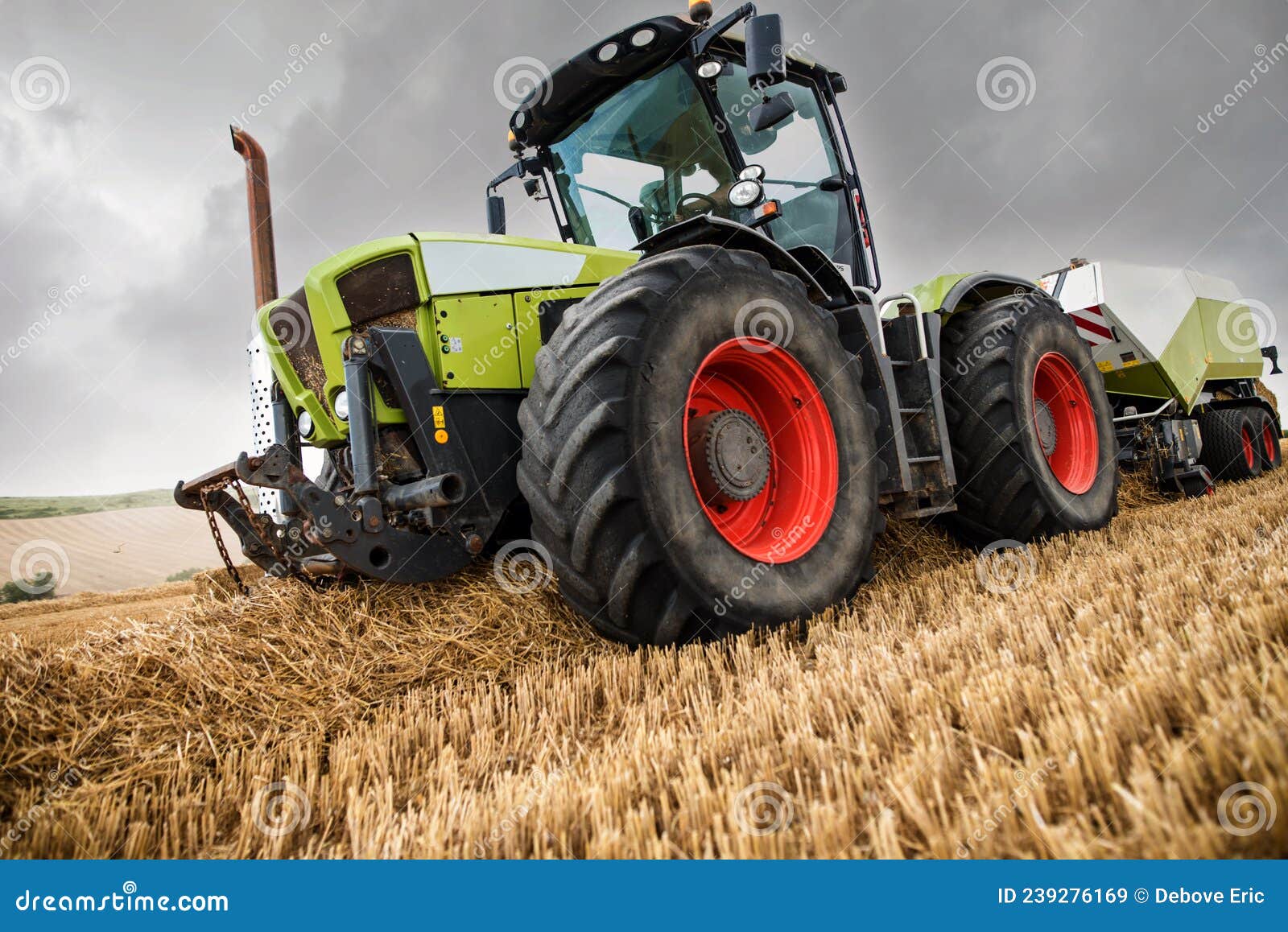 Tractor Equipped with a Baler Picking Up the Straw To Make Large
