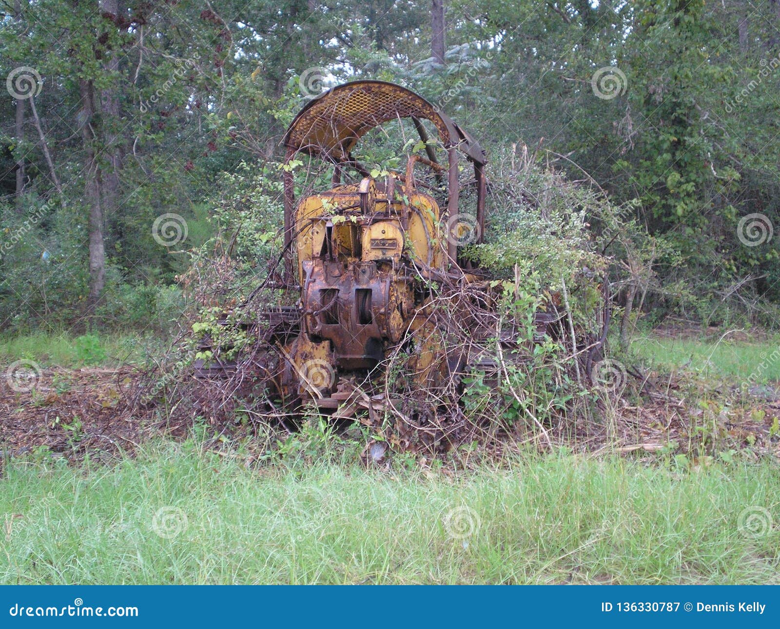 Tractor Over Abandon Bulldozer Nature Stock Image - Image of abandon, grown: 136330787