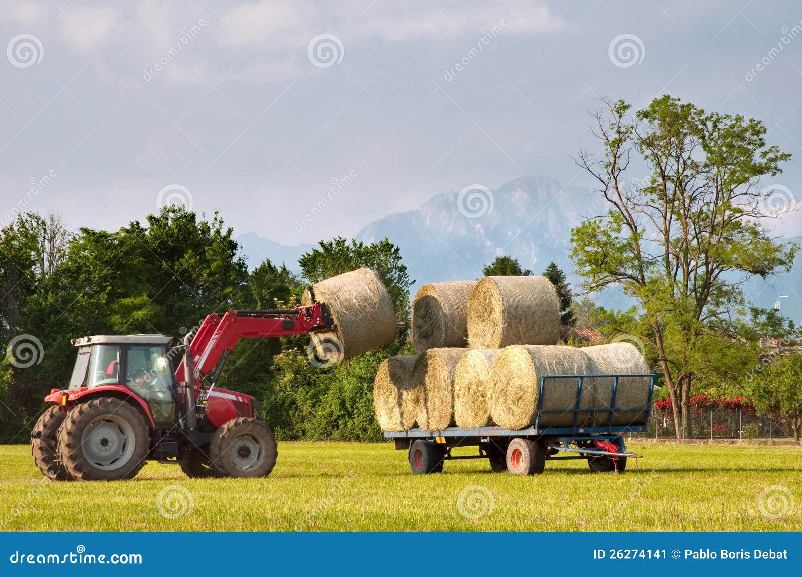 Tractor Lifting Hay Bale on Barrow Stock Image Image of food