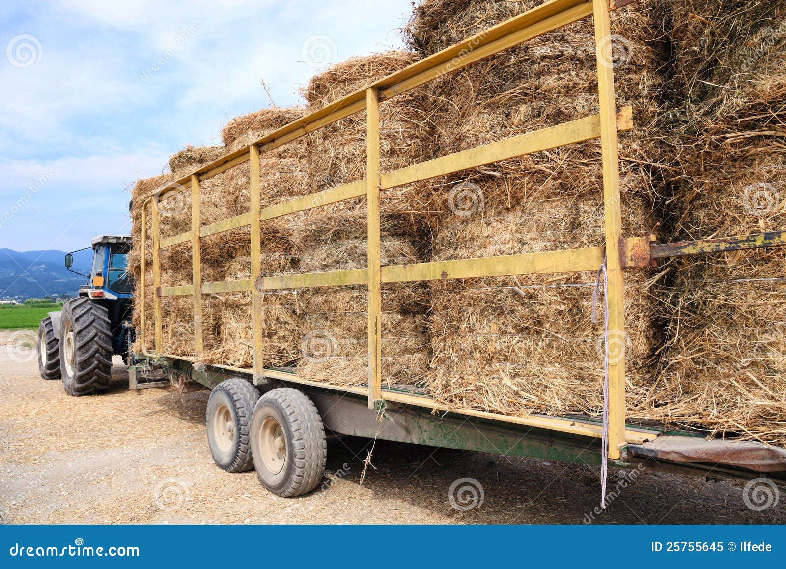 Tractor loaded with hay stock image. Image of farmer 25755645