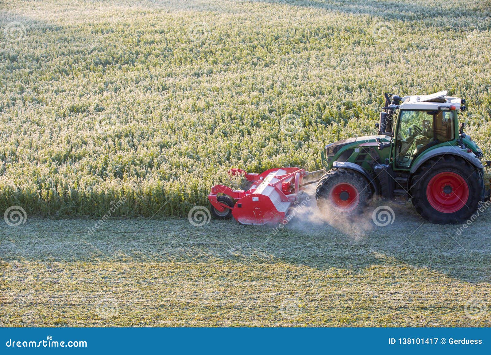 Tractor Mowing the Grass on the Lawn in Winter. Stock Image Image of