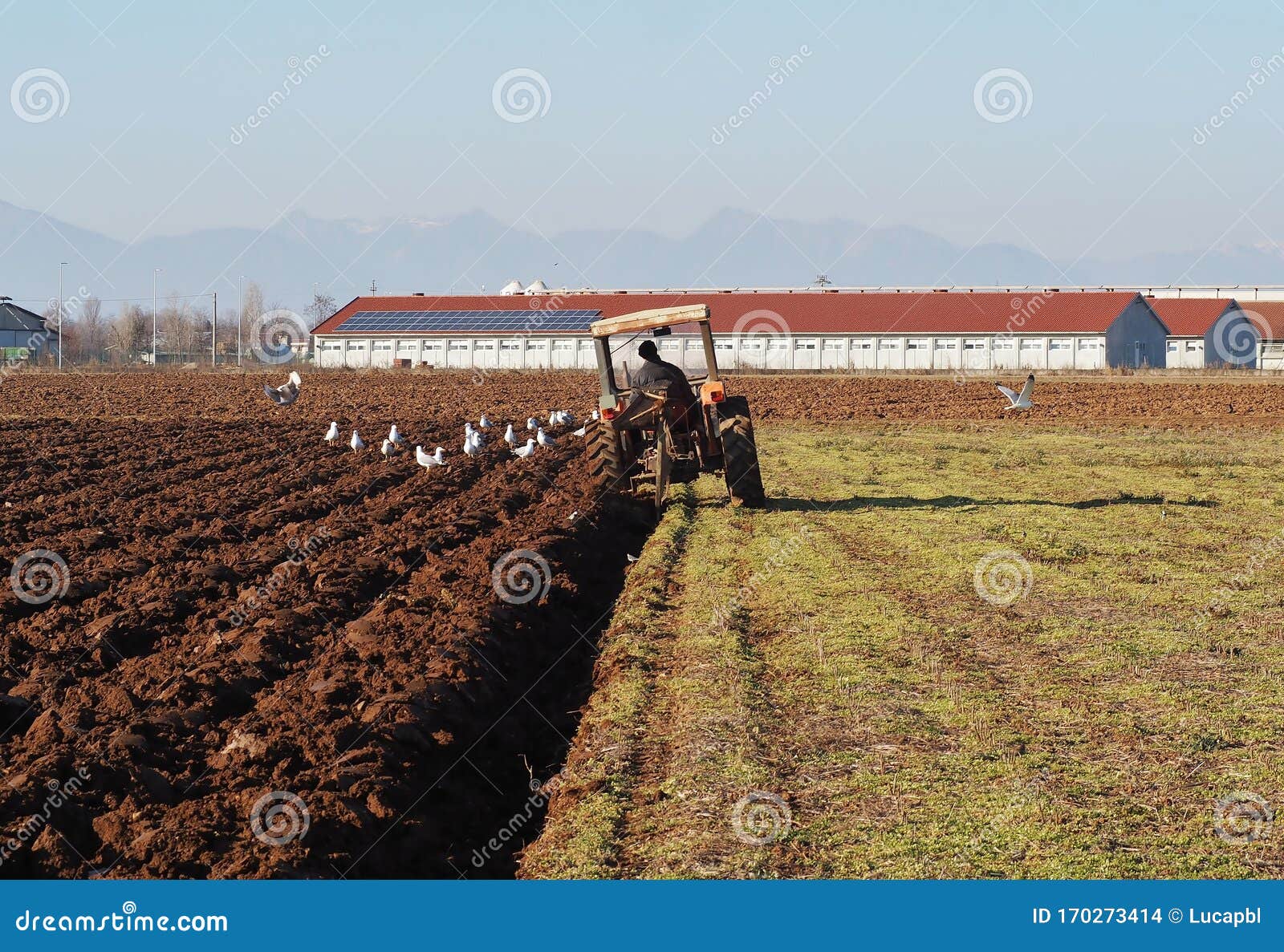 tractor plows the field in front of some agricultural buildings