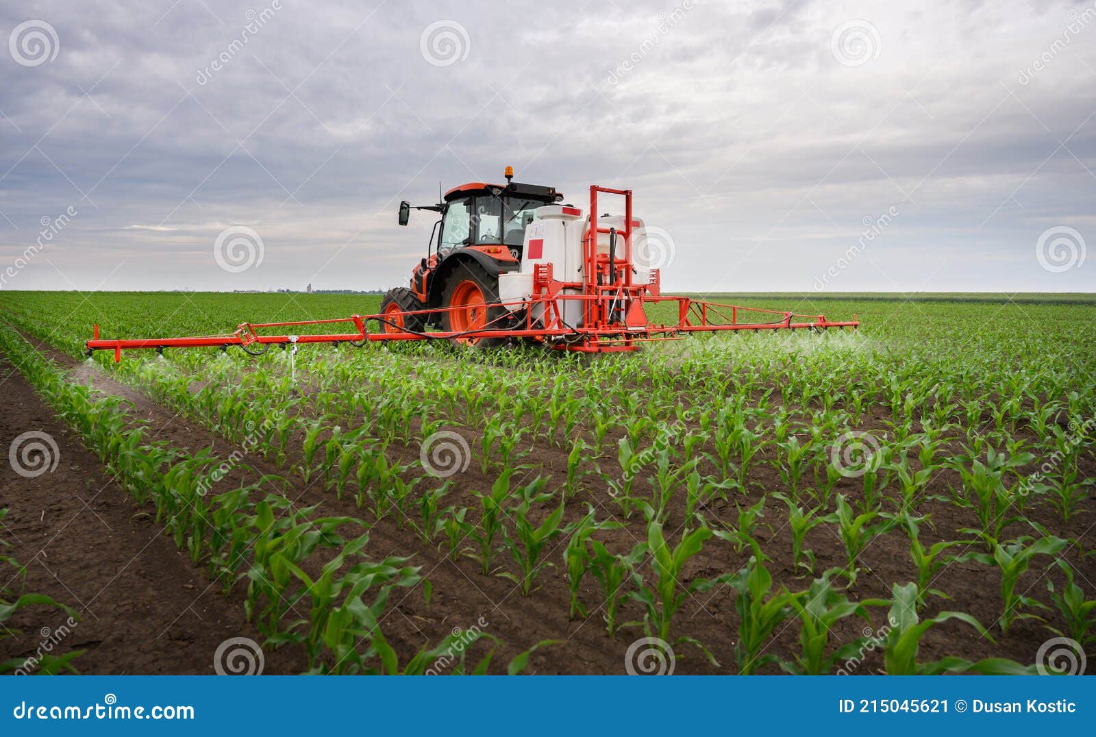 Tractor Spraying Corn Field Stock Image Image of monoculture, dust