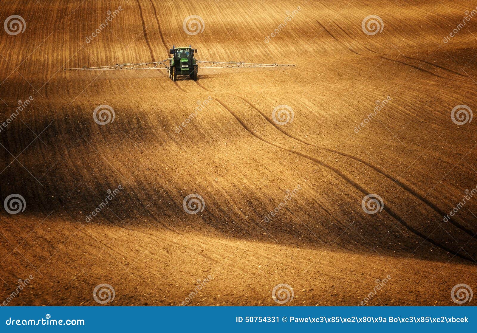 tractor while spraying fields where corn rises