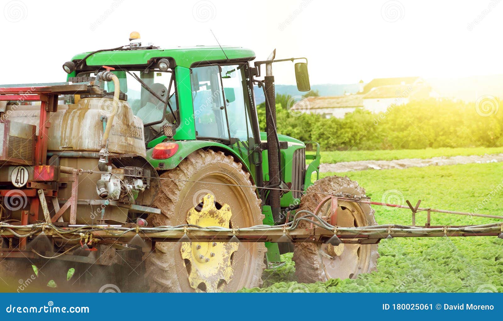 Tractor Spraying Pesticide Pesticides Or Insecticide Spray On Lettuce Or Iceberg Field At 