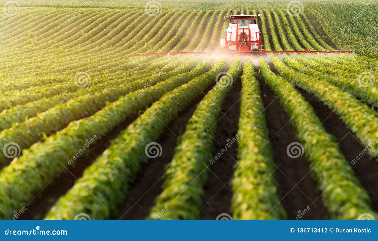 tractor spraying pesticides at soy bean field