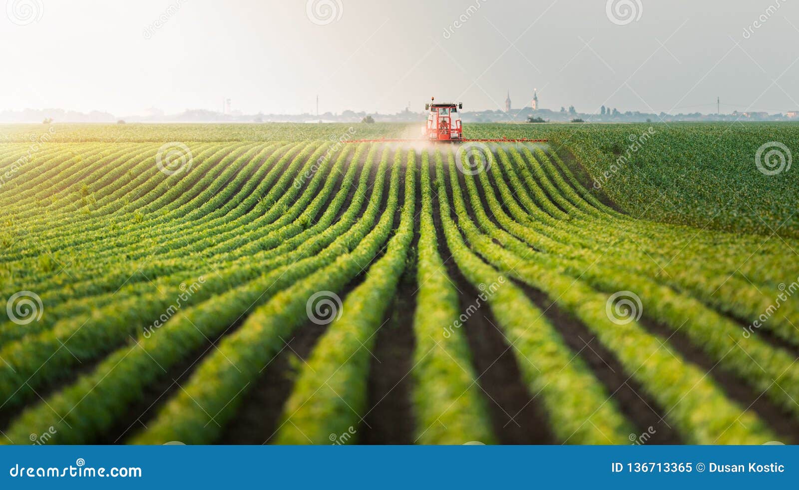 tractor spraying pesticides at soy bean field