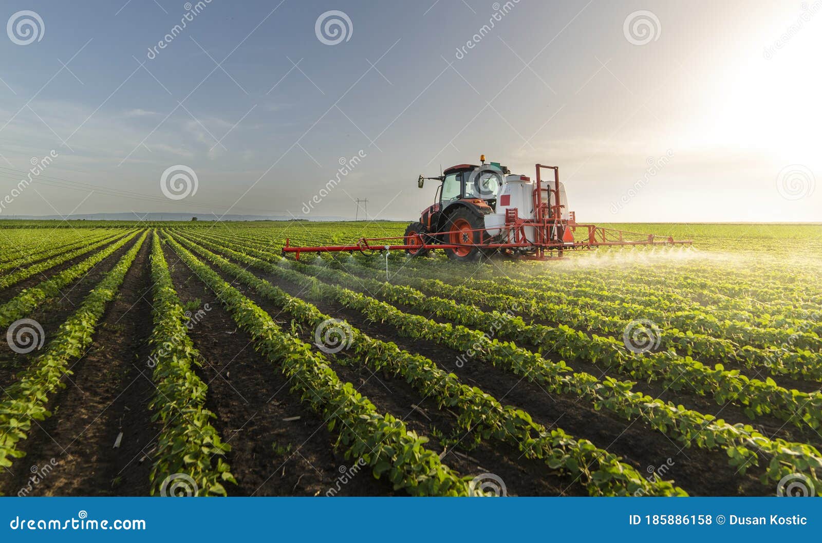 tractor spraying soy field in sunset