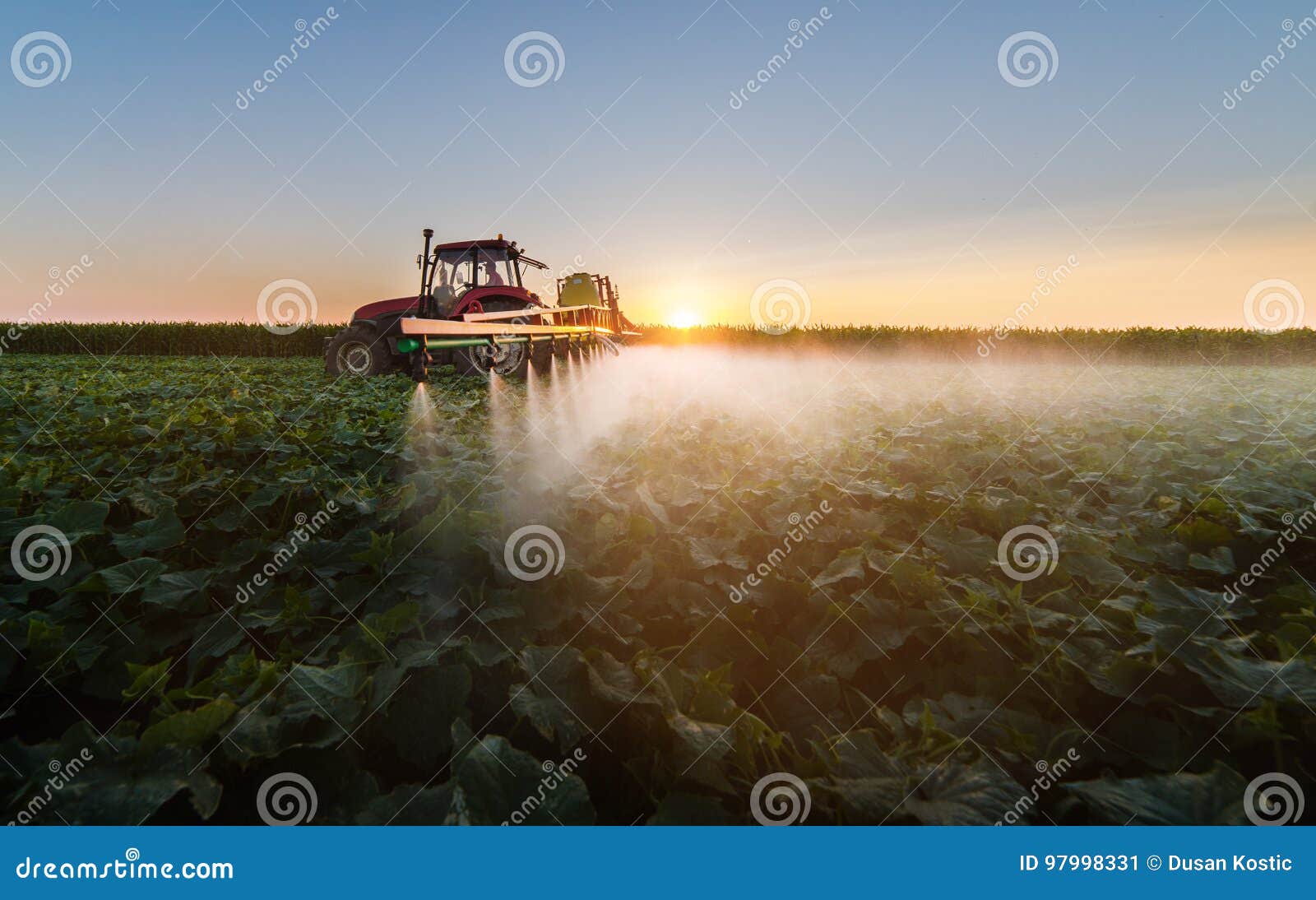 tractor spraying soybean field