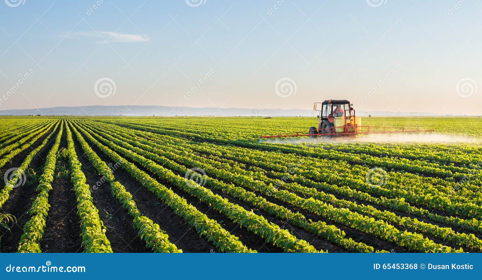 tractor spraying soybean field