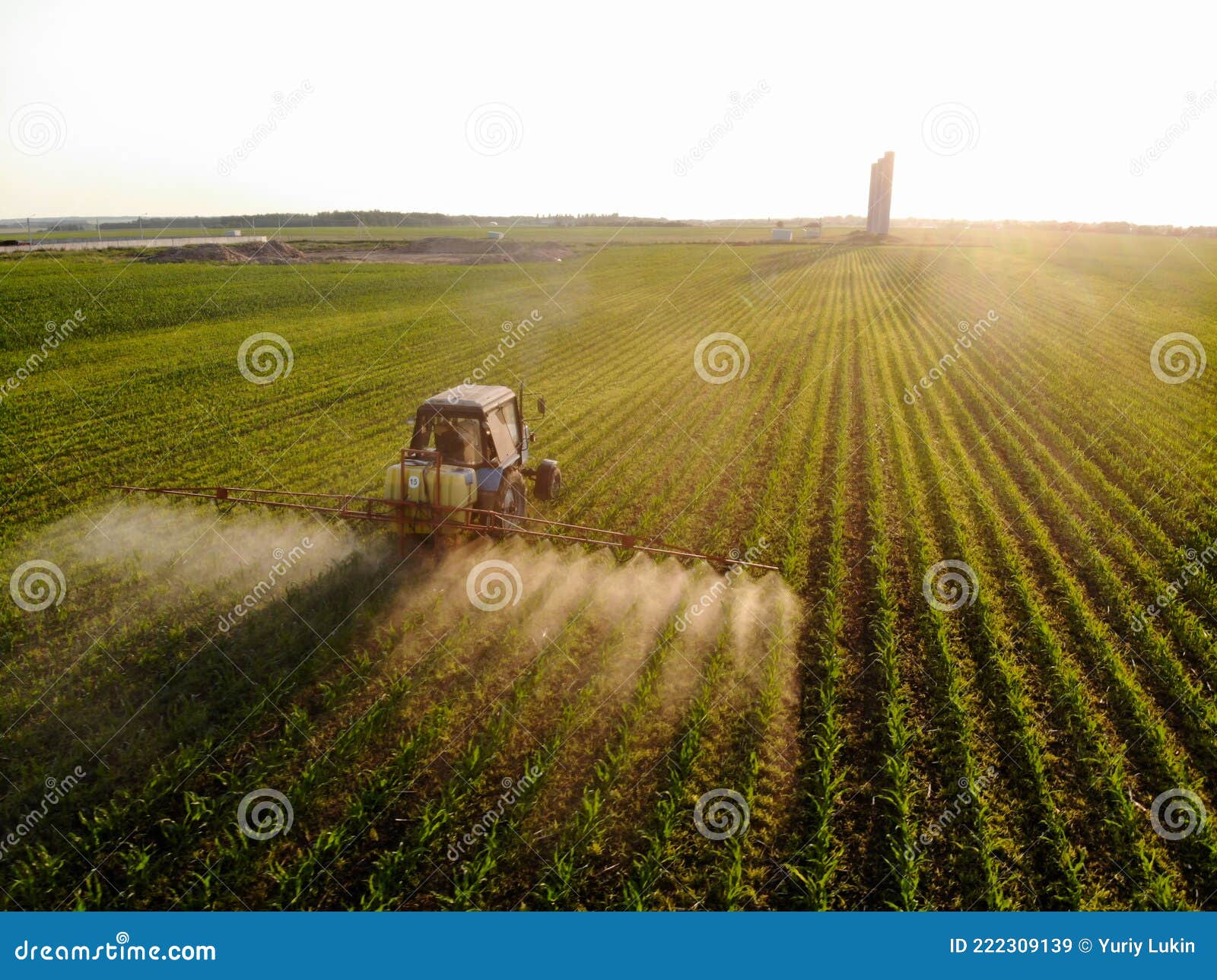 Tractor Sprays Pesticides on Corn Fields at Sunset Stock Image Image