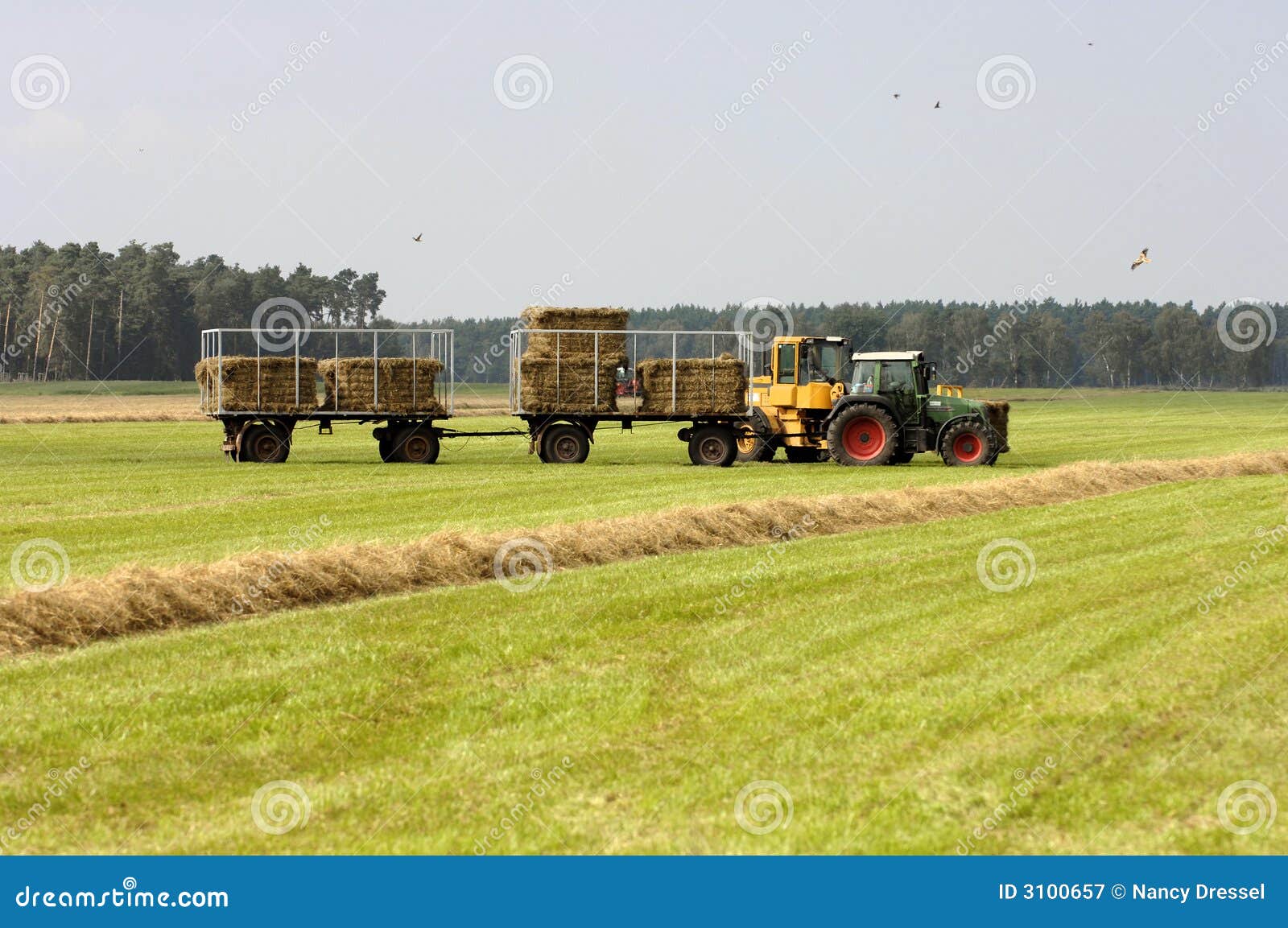 Tractor at Straw Harvesting Stock Image Image of deere, combine 3100657