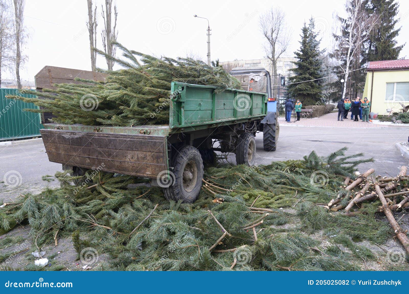 Tractor Trailer Unloading Used Christmas Trees for Recycling ...