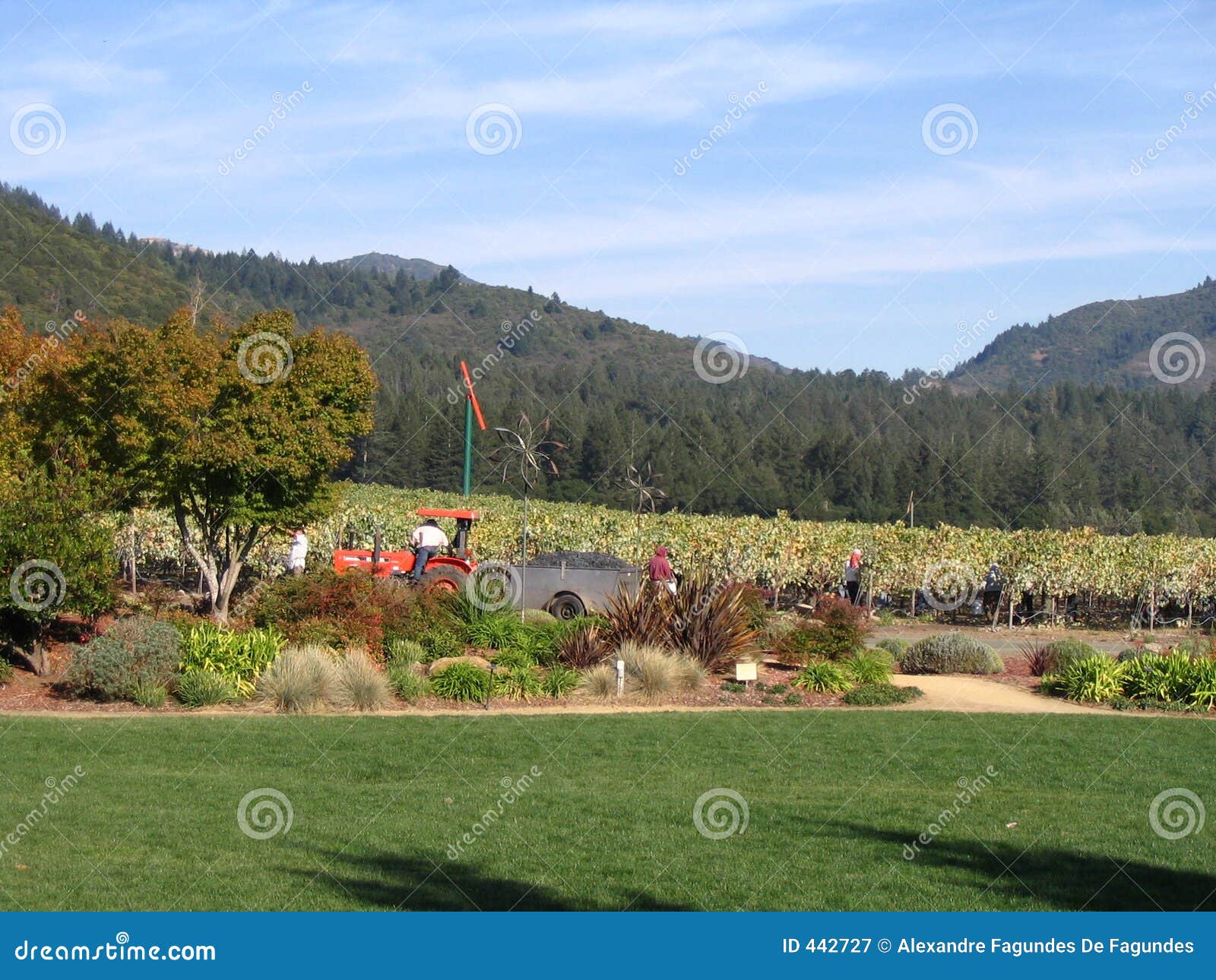 Tractor in a Winery stock image. Image of valley, united 442727