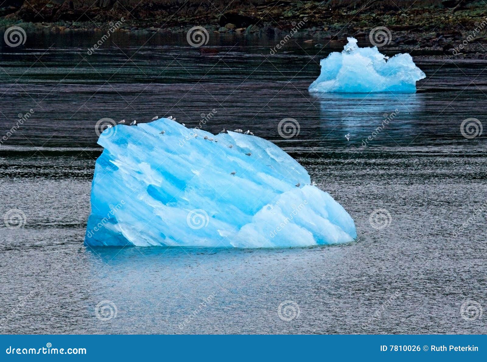 tracy arm fjord iceberg