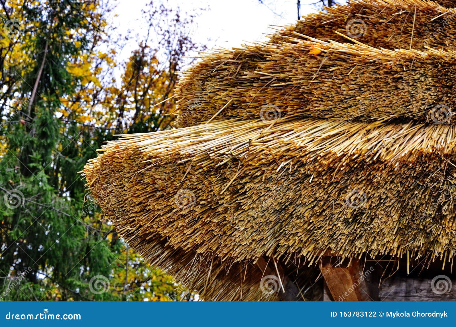 Toit en paille photo stock. Image du matériau, fond - 263087808