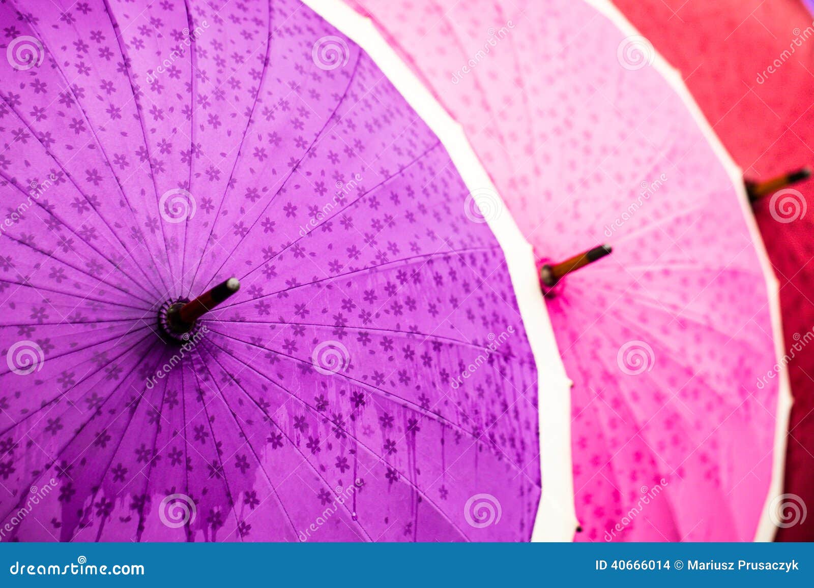 Traditional Asian Umbrellas in Market Stock Photo Image of east
