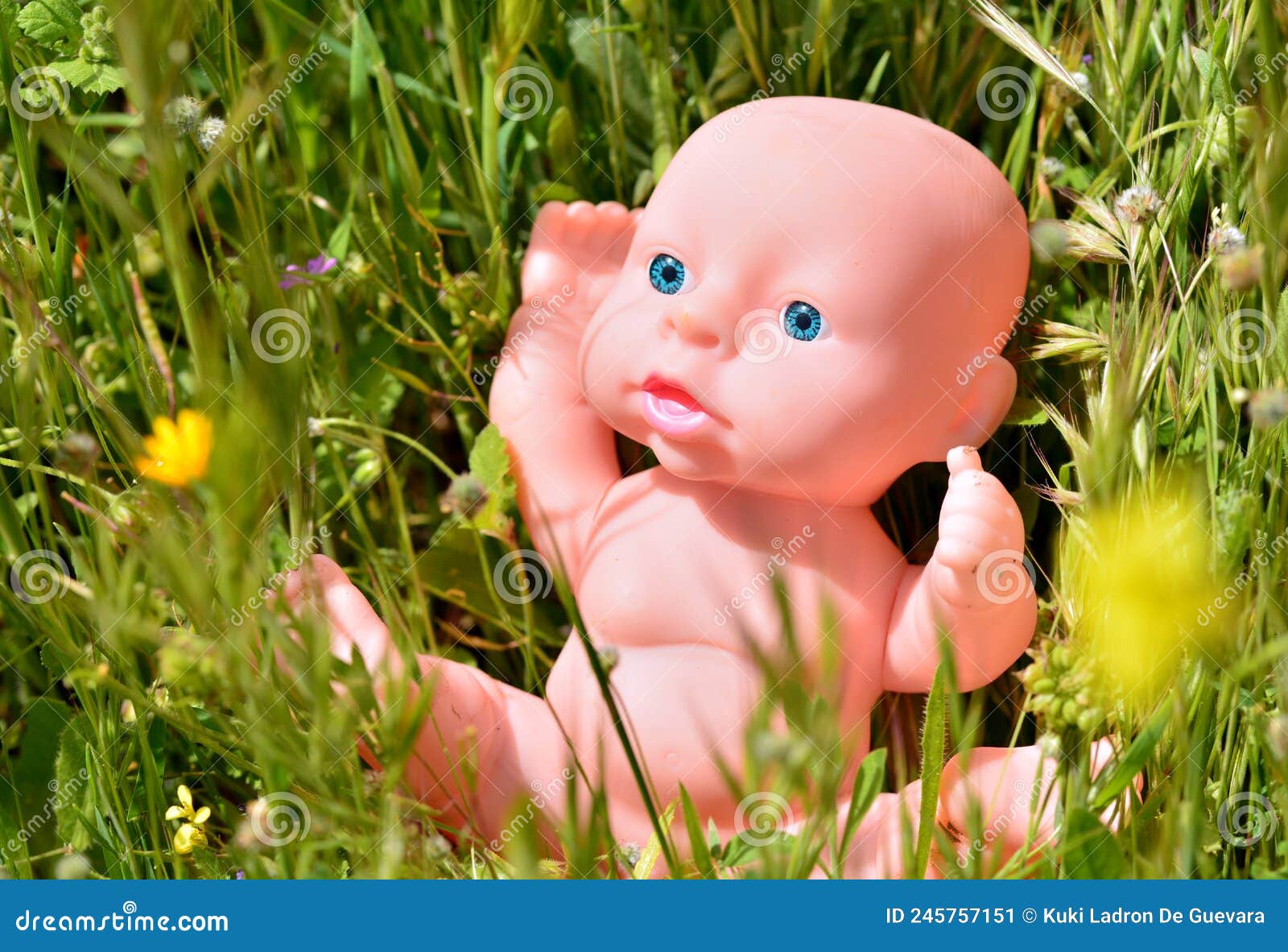 traditional baby doll among the grass